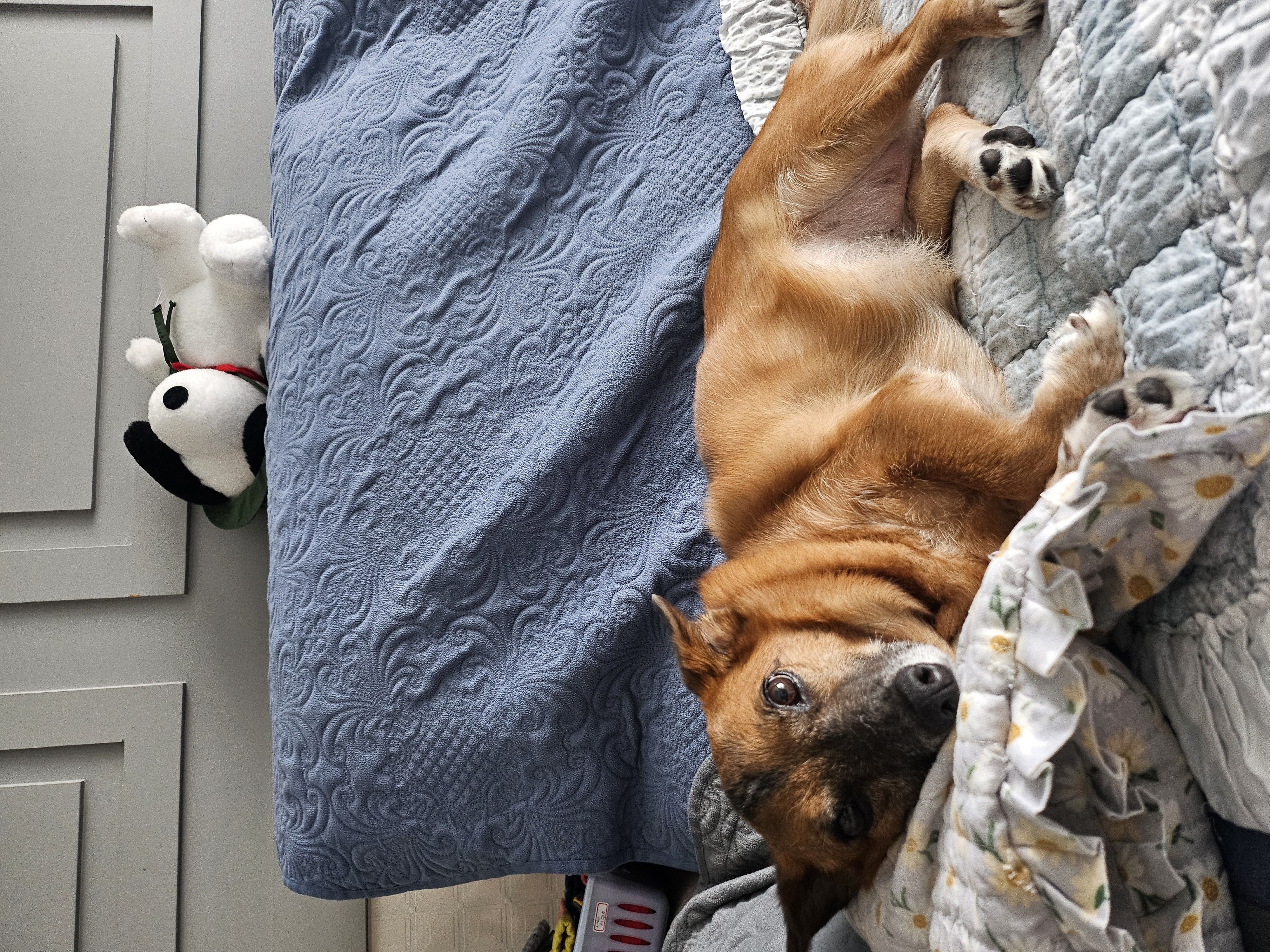 리카 새해인사드립니다.