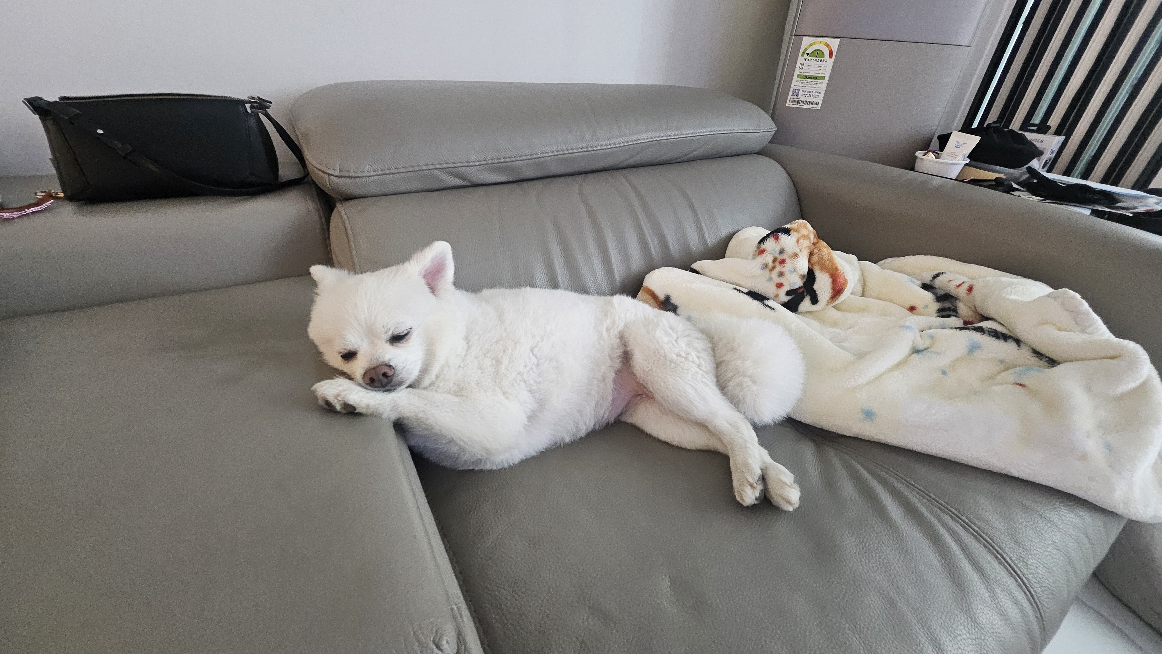루비!! 어느덧 반년이란 시간이 훌쩍 넘어가는구나
