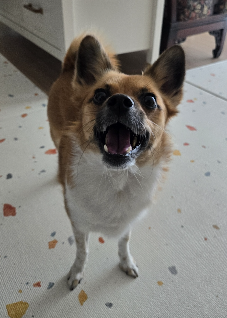 보나(은일이) 5주년