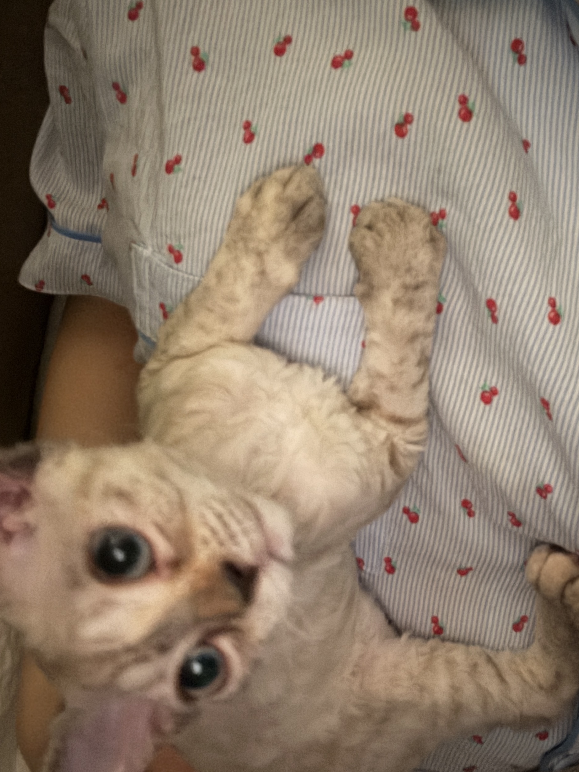 김새로(던회)와 함께한 일주일차