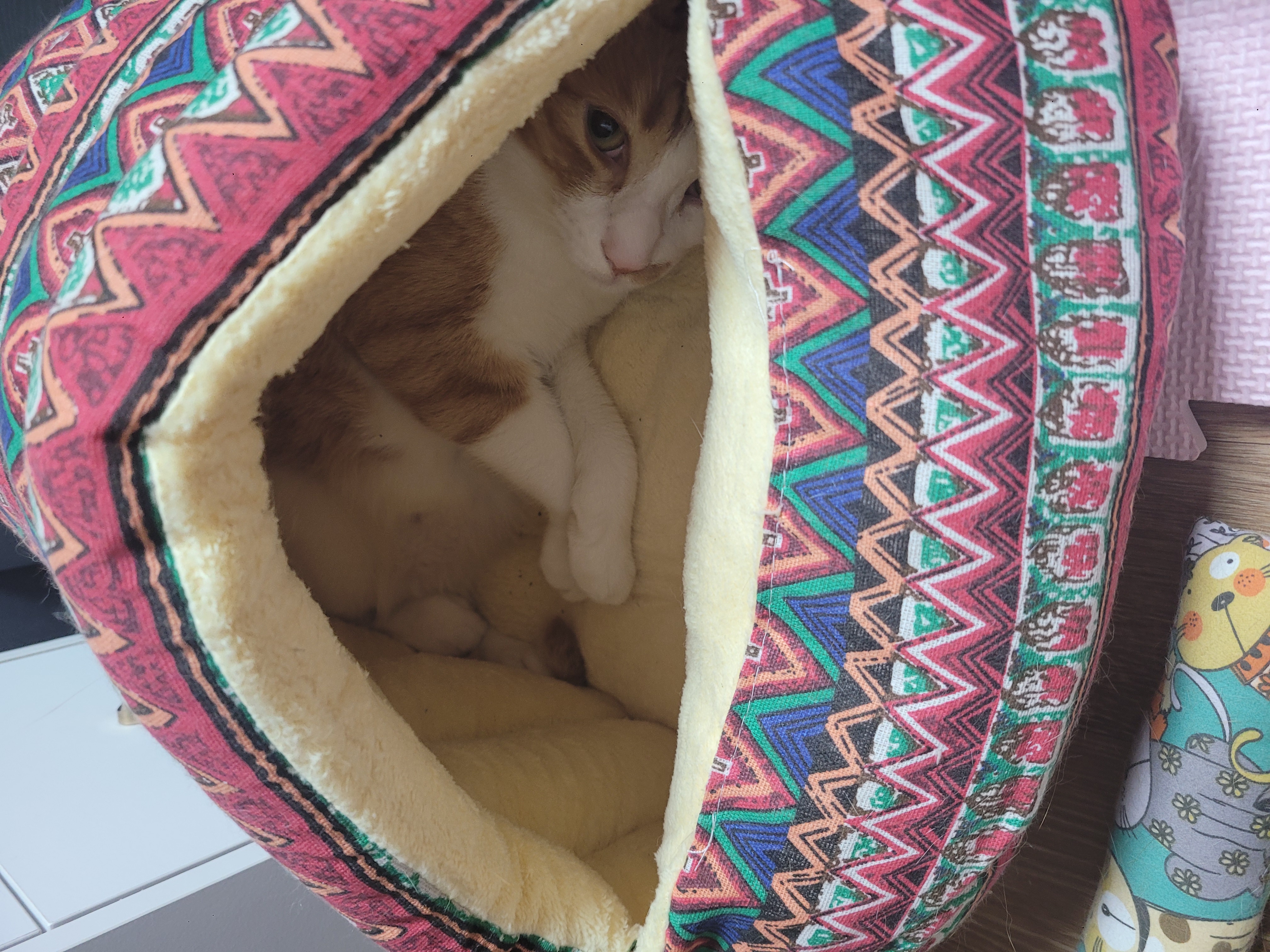 1년2개월후... 더 이뻐진 우리뀨리 