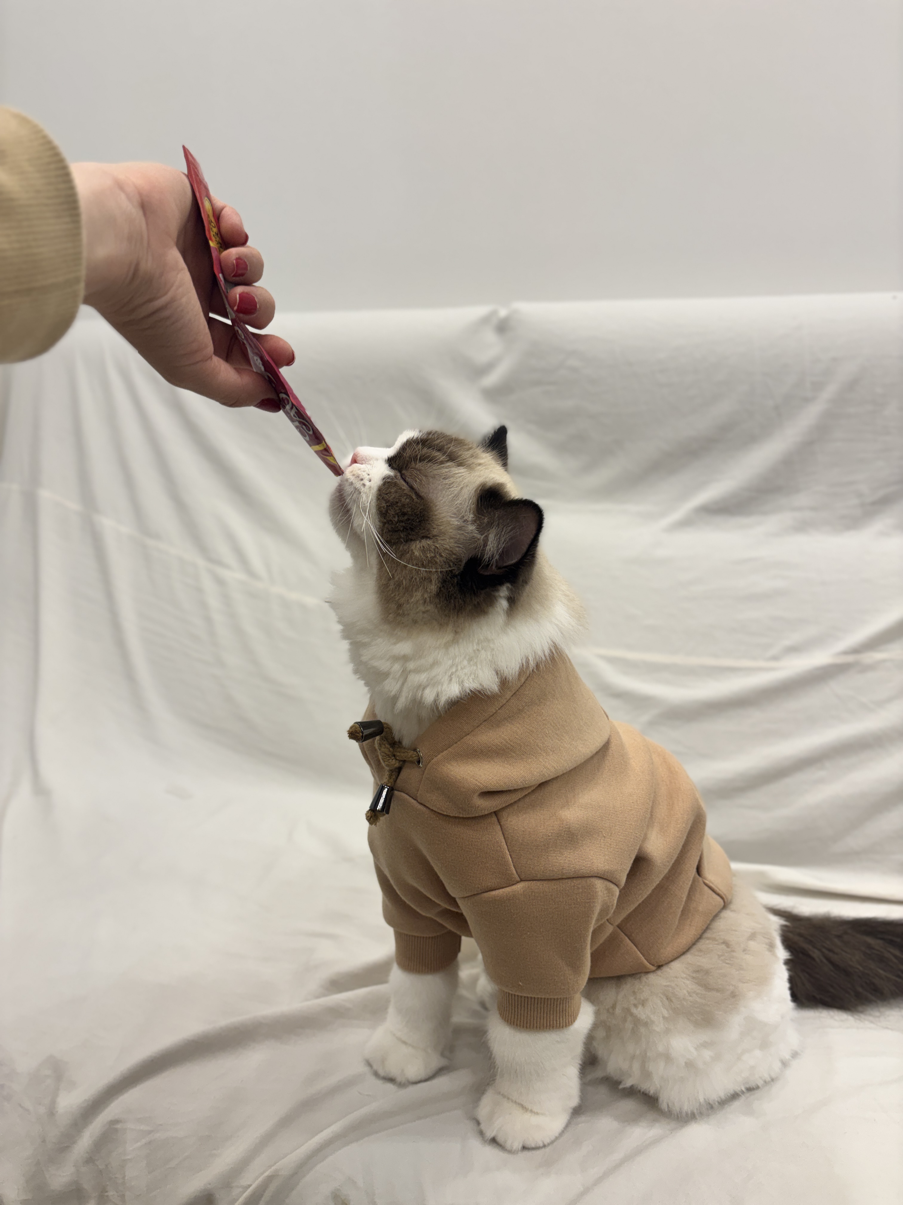 미야오(마시) 우리는 가족 : 3개월 차