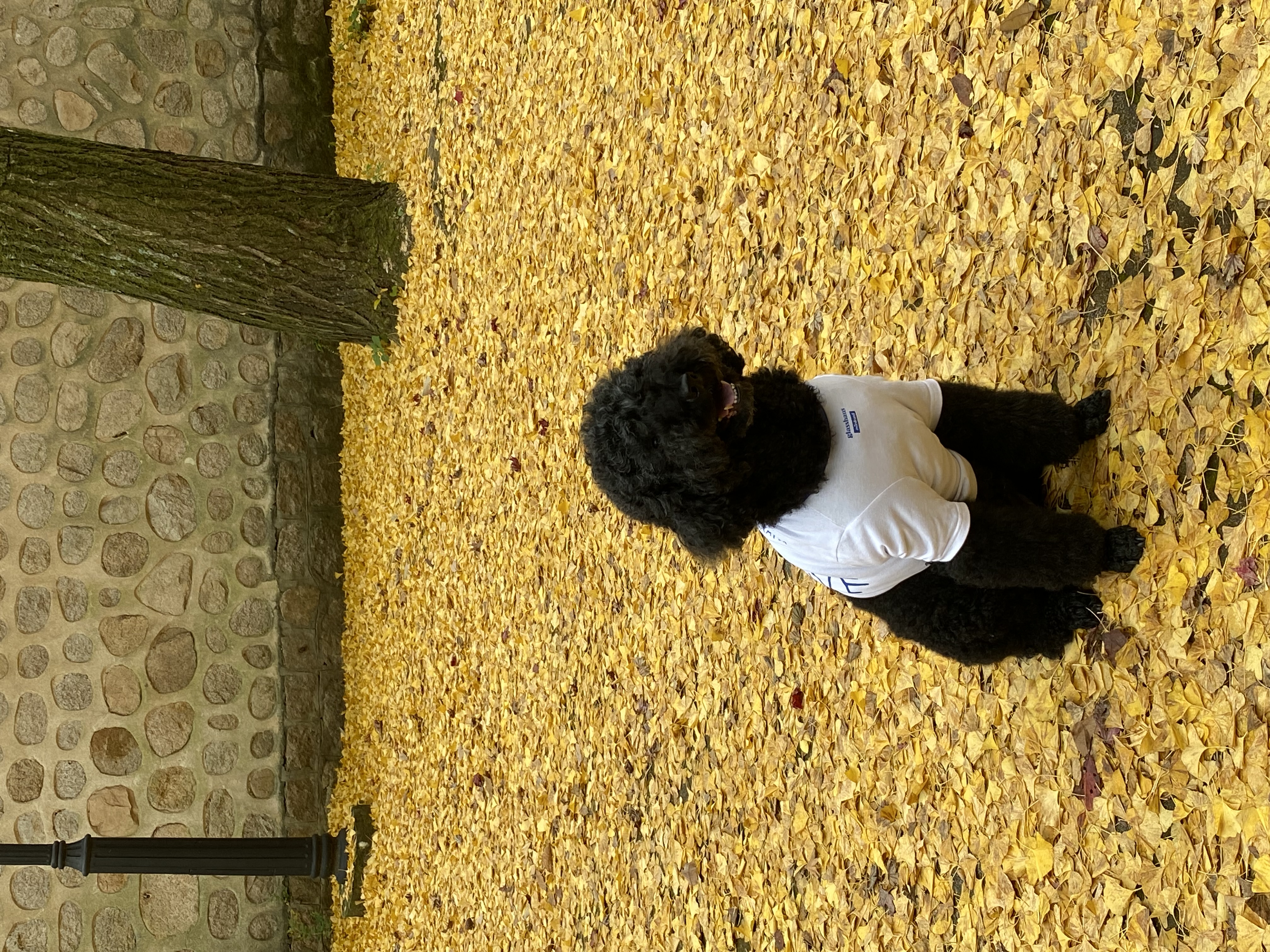 헤라와 함께한 너무 소중한 시간