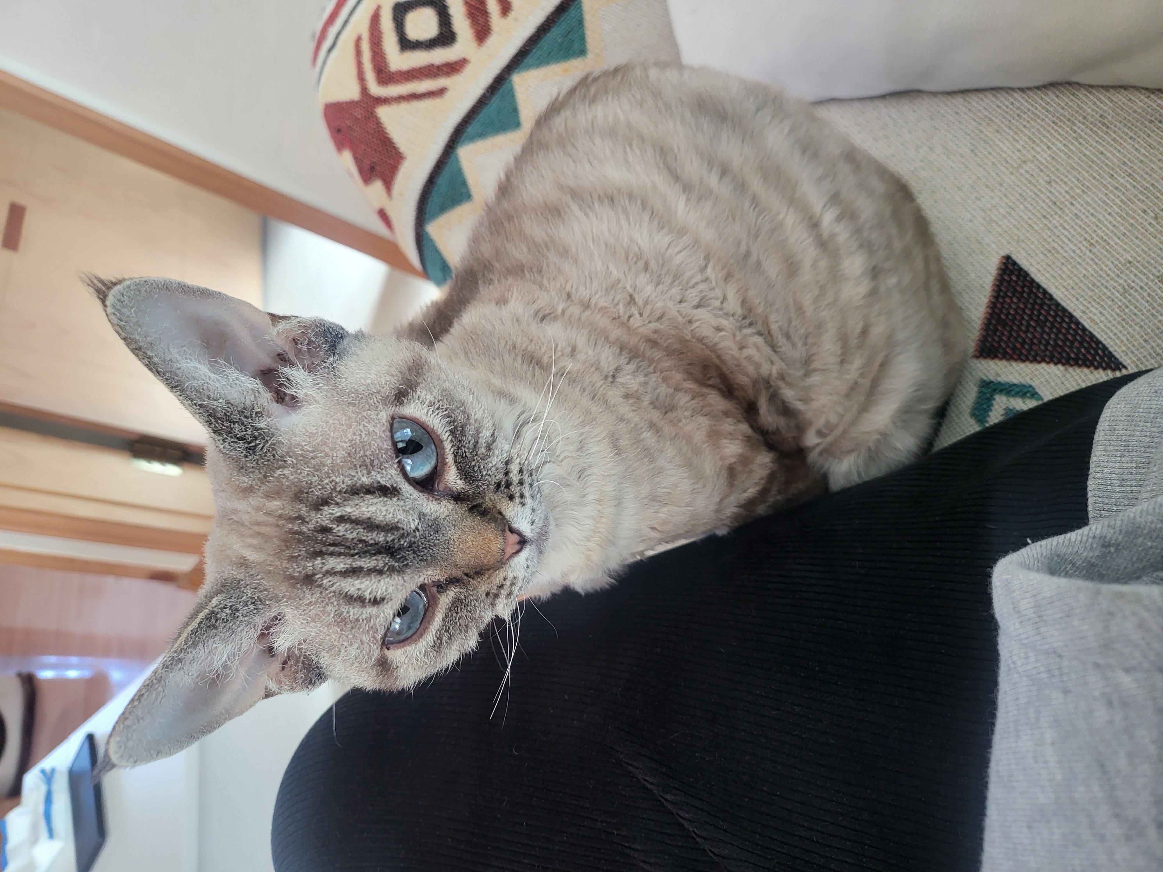 콘팡이와 함께하는 나날들