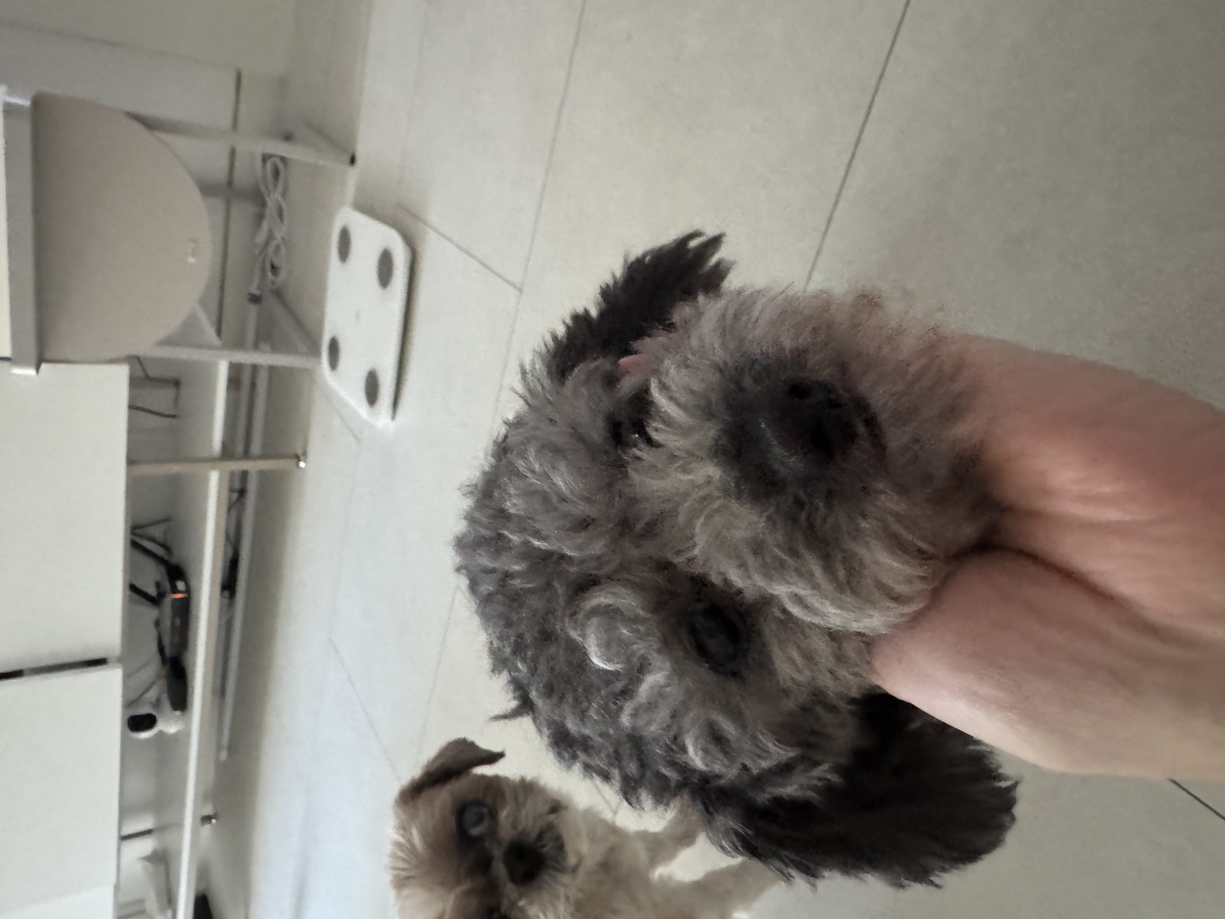 살랑이(구 팅팅) 소식 올려요~