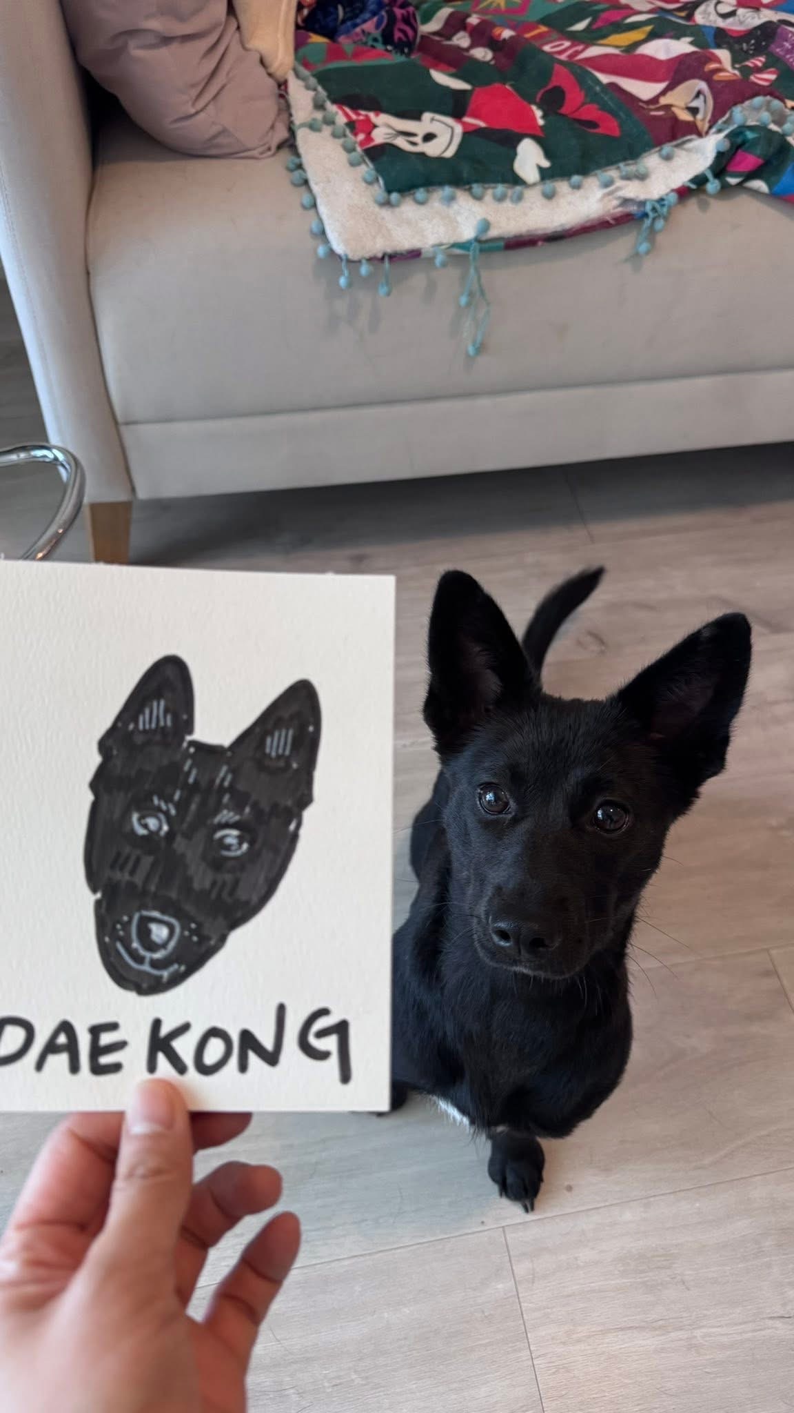 [해외입양] 캐나다 토론토에서 전해온 '대콩이' 소식💌