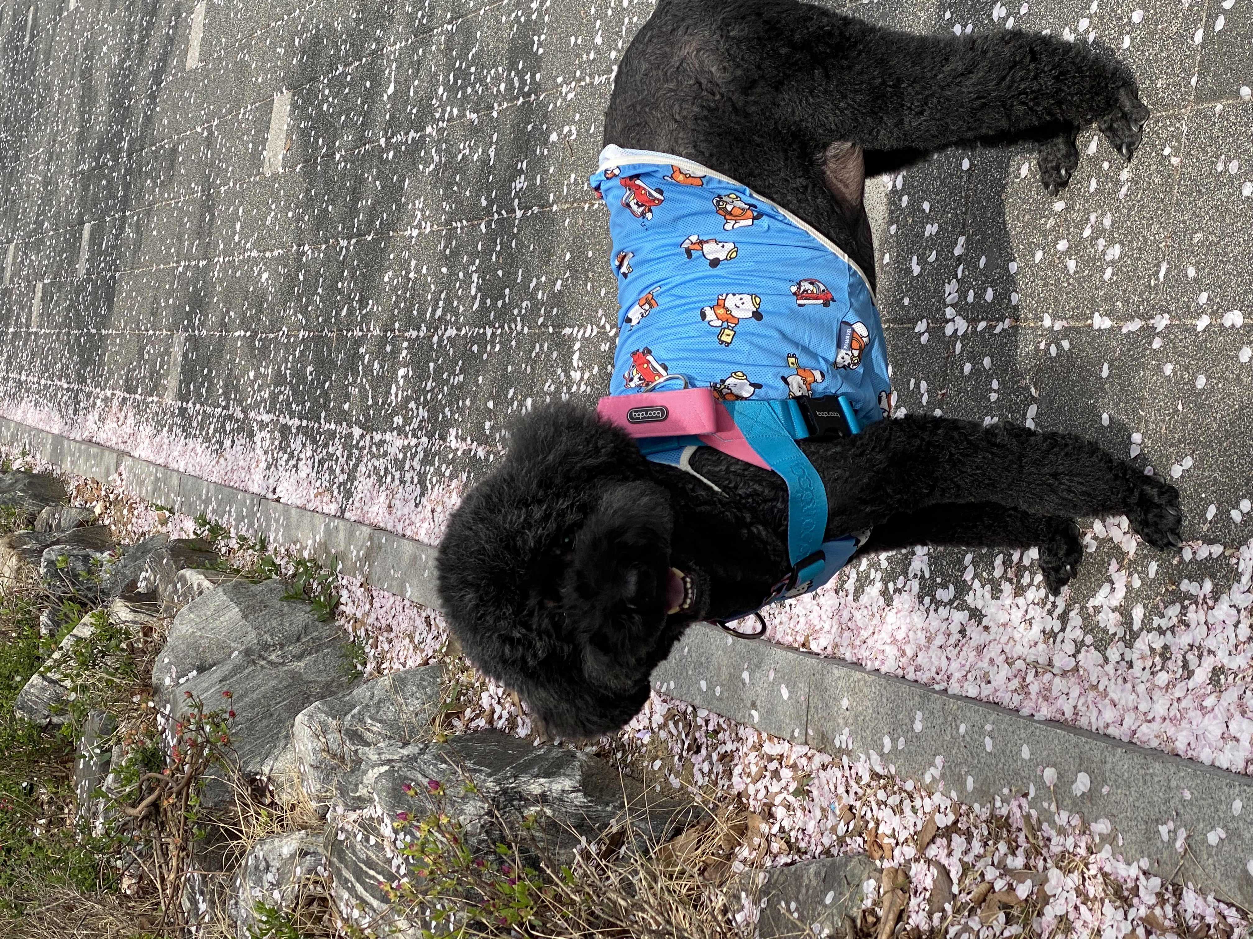 헤라와 함께한 너무 소중한 시간