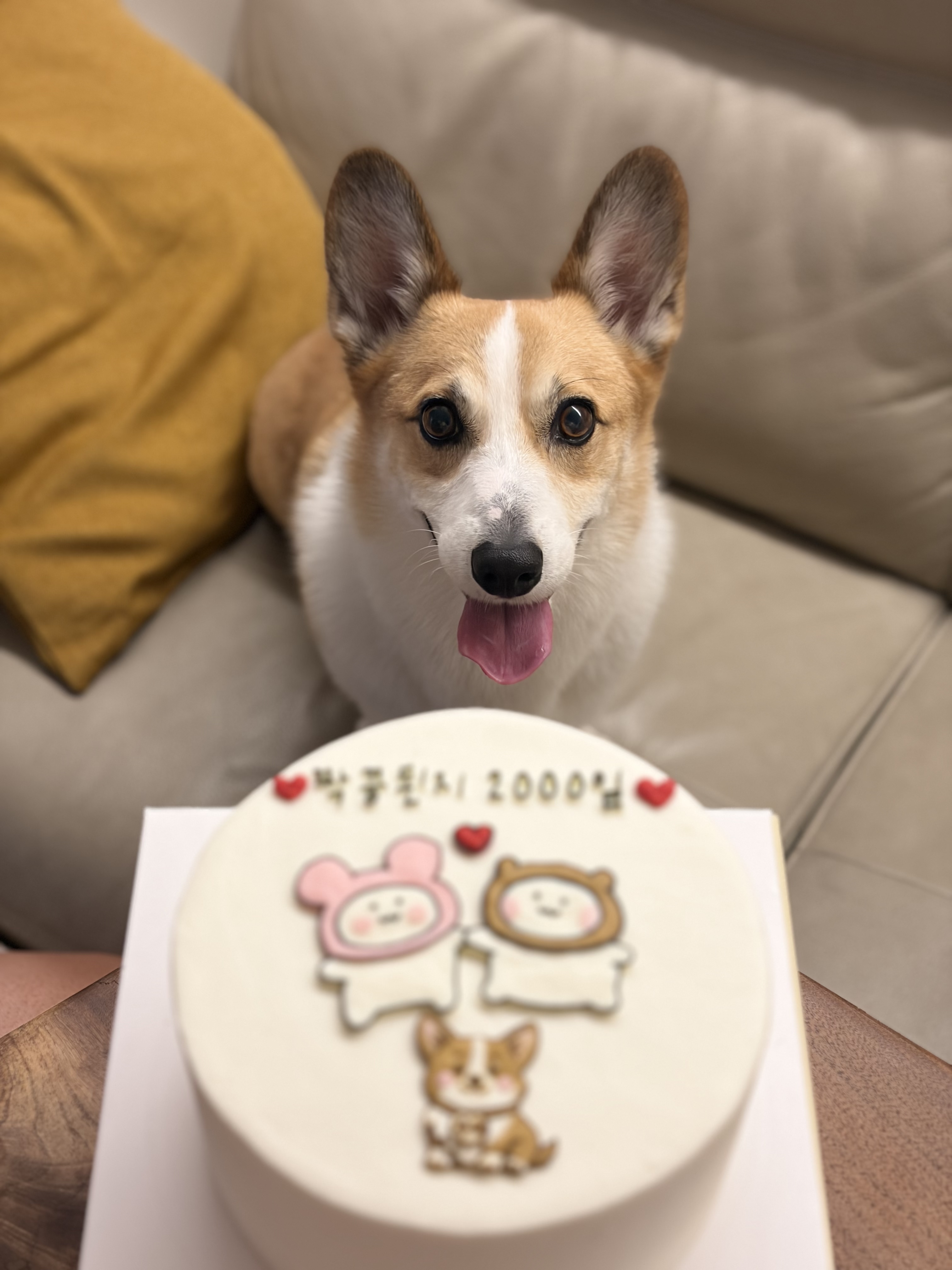 무티(구.수코) 2년차 근황