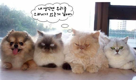 (펌)이크!