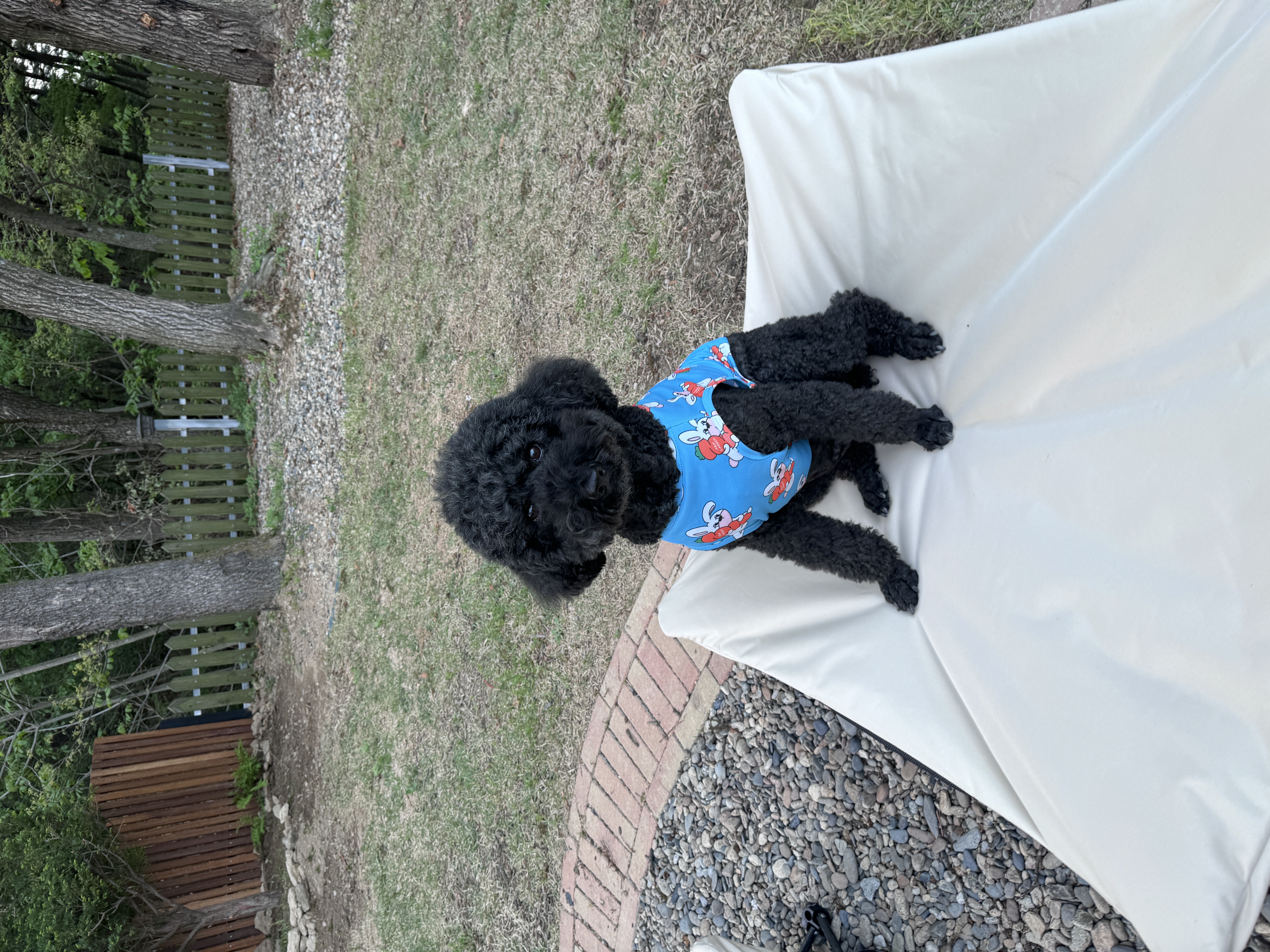 헤라와 함께한 너무 소중한 시간