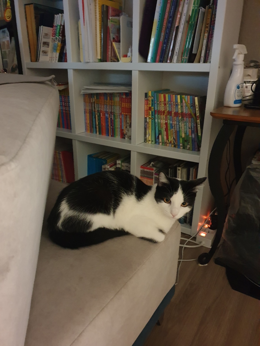 우주는 조금씩, 그러나 열심히 탐색과 적응을 하고 있습니다.