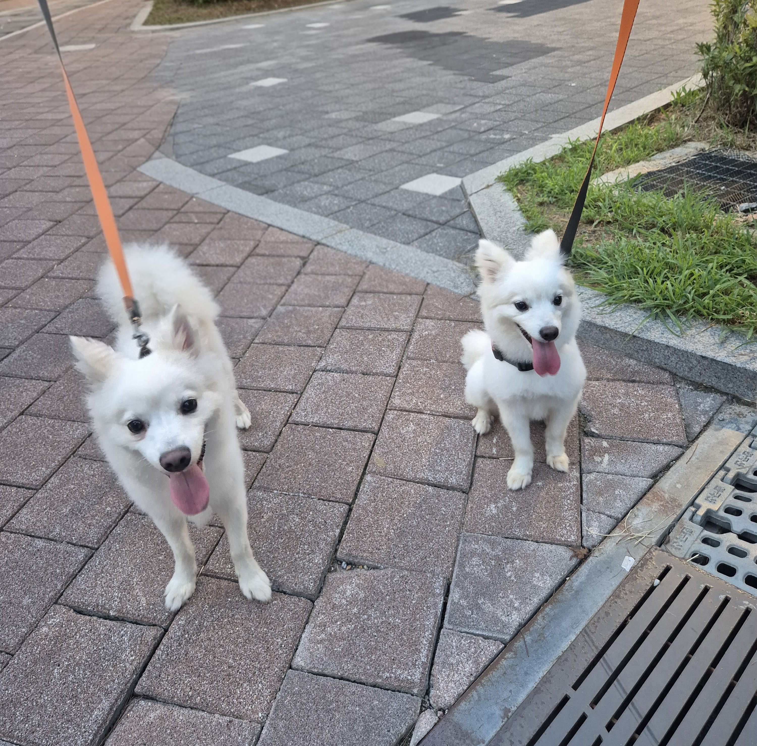 다람이 + 리유 = 행복♡