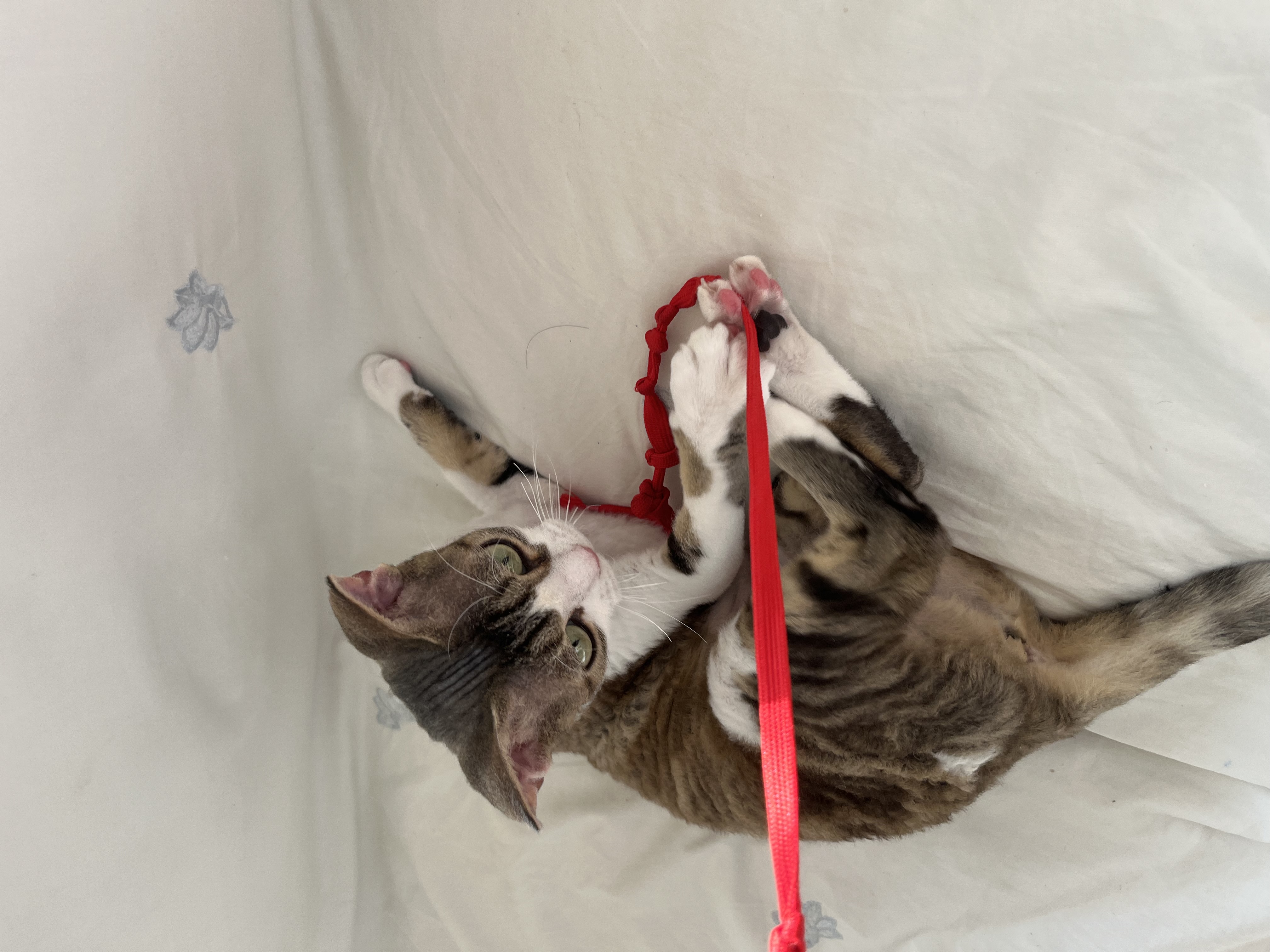 머루(까까)와 함께한 세달