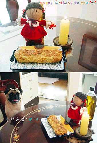 대표님,축하드려요(상당히 큰 선물동봉)
