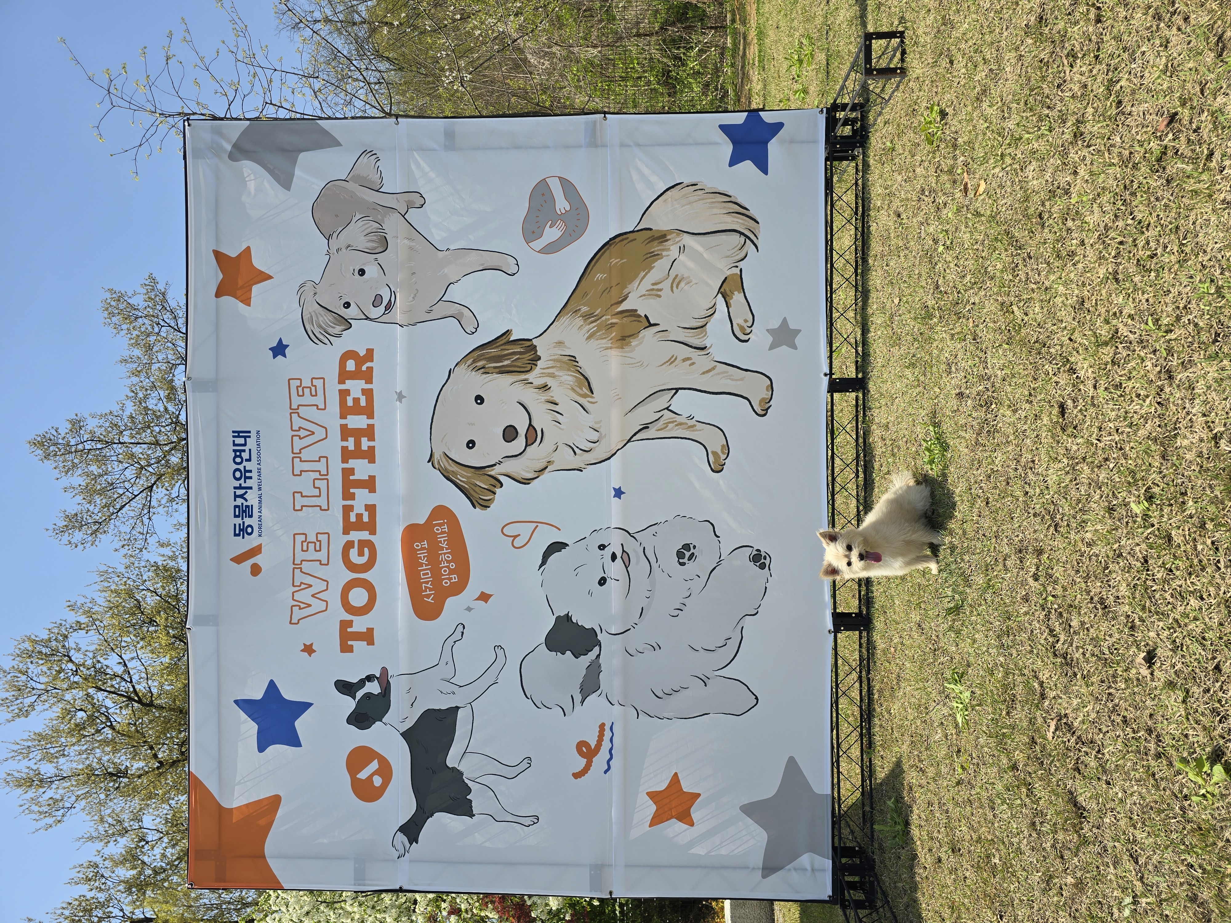 토리(소이)와 가족이 된지 3년이 되었어요:)