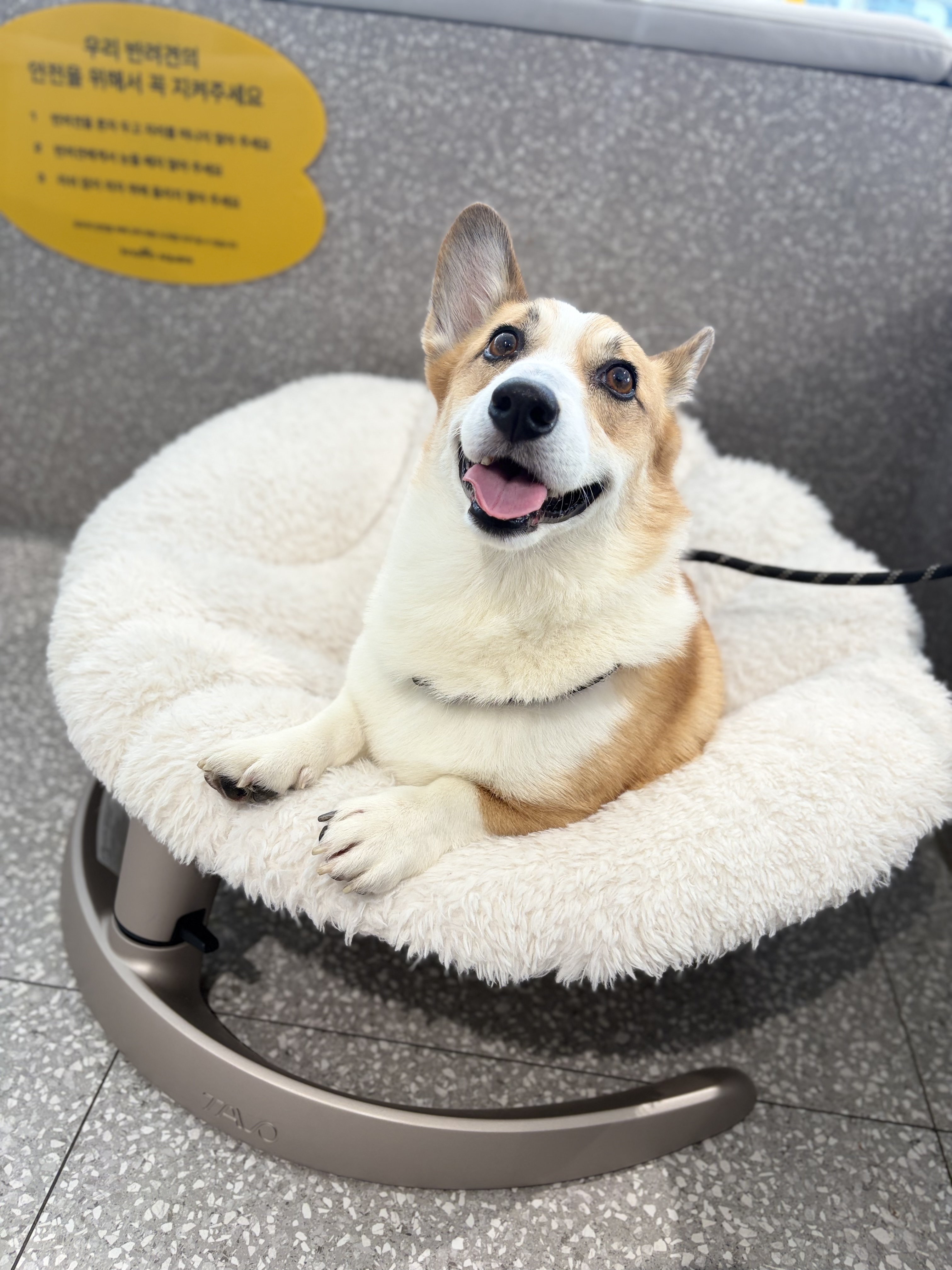 무티(구.수코) 2년차 근황