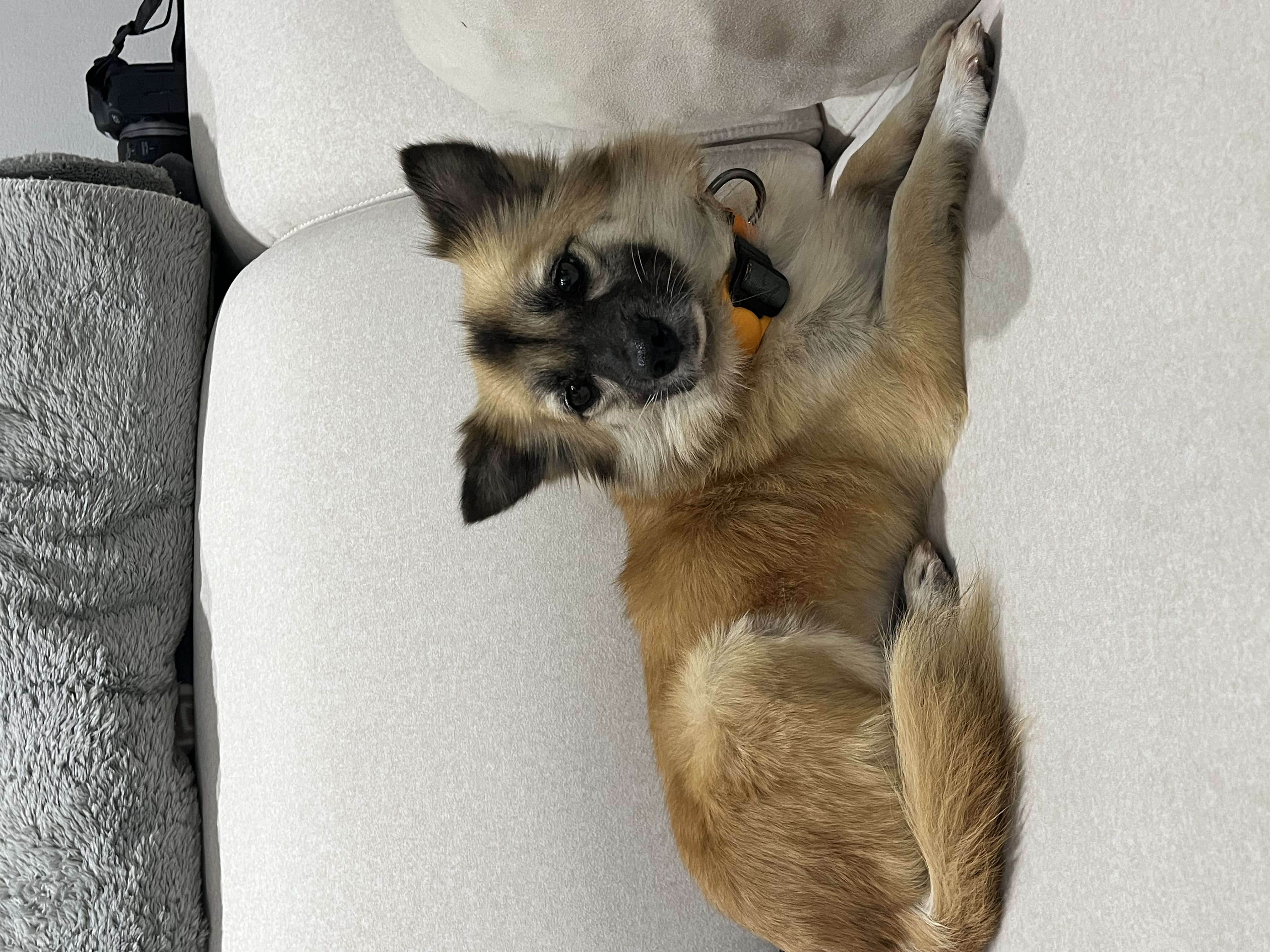 케일이의 첫 집생활