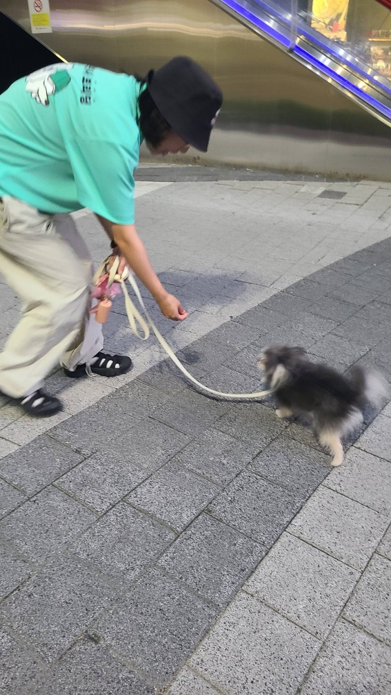자반(구.소삼) 소식 올려요.