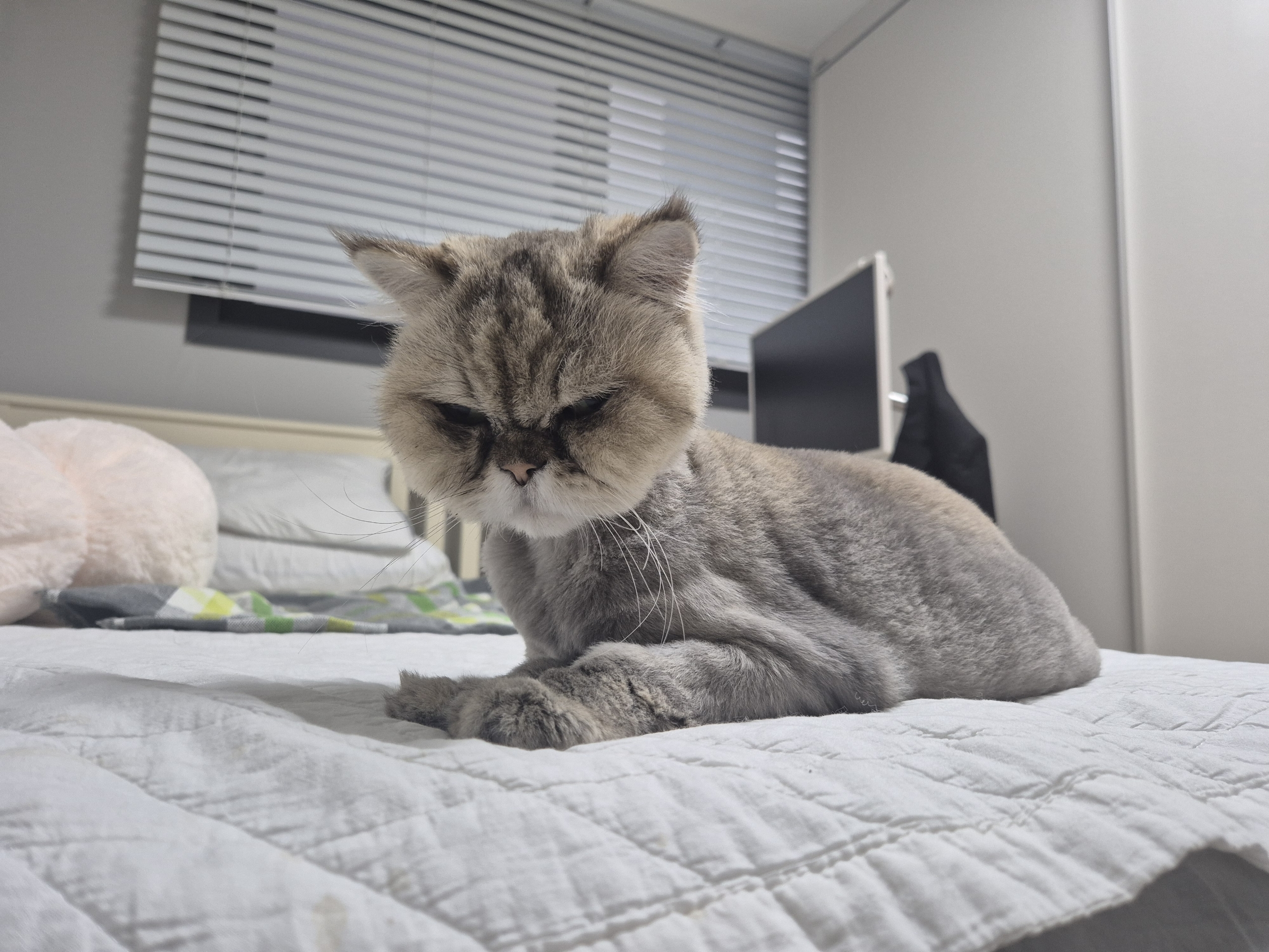 밤장이 온지 일주일 