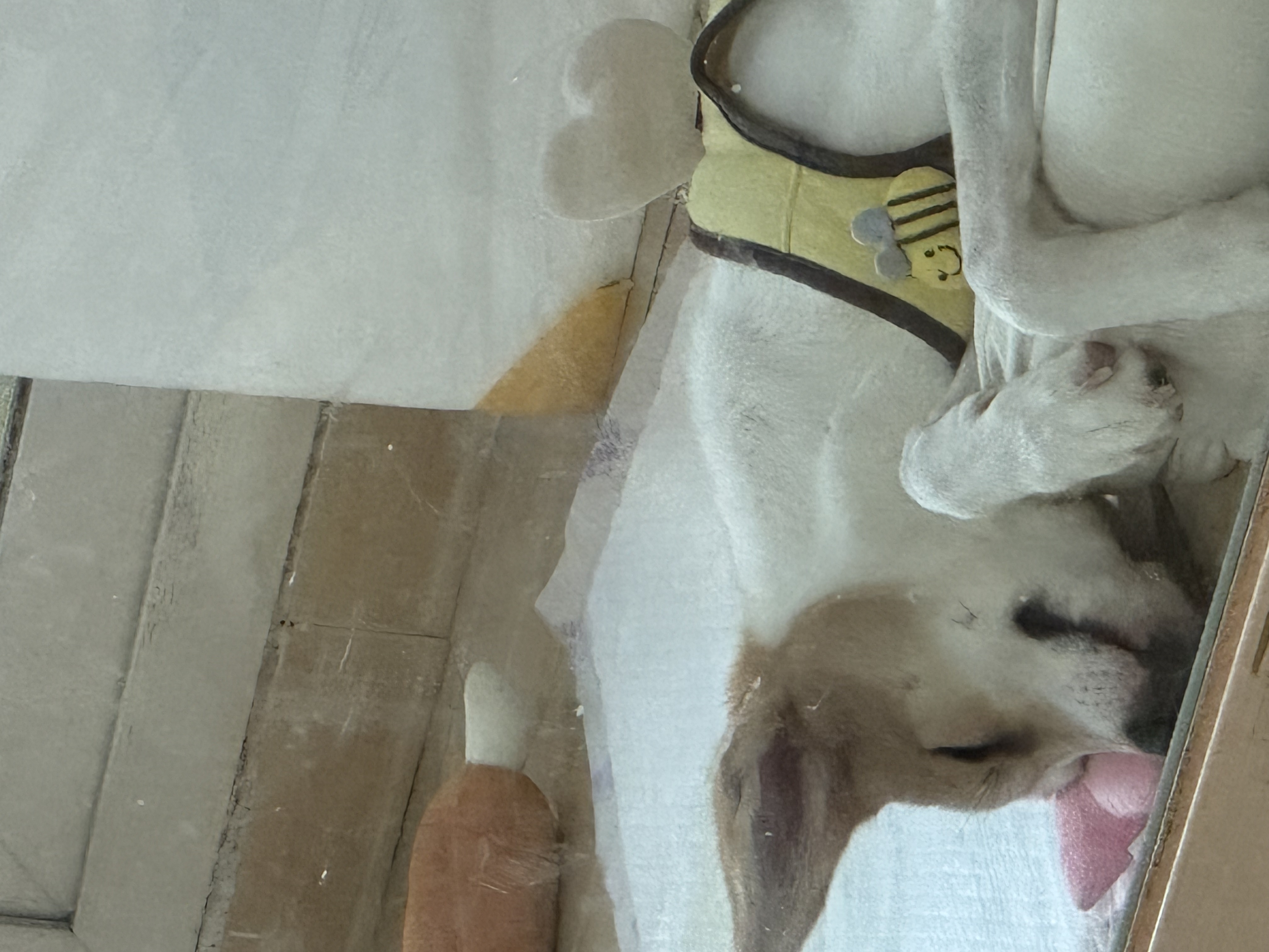 모디 일상을 공유해드려요