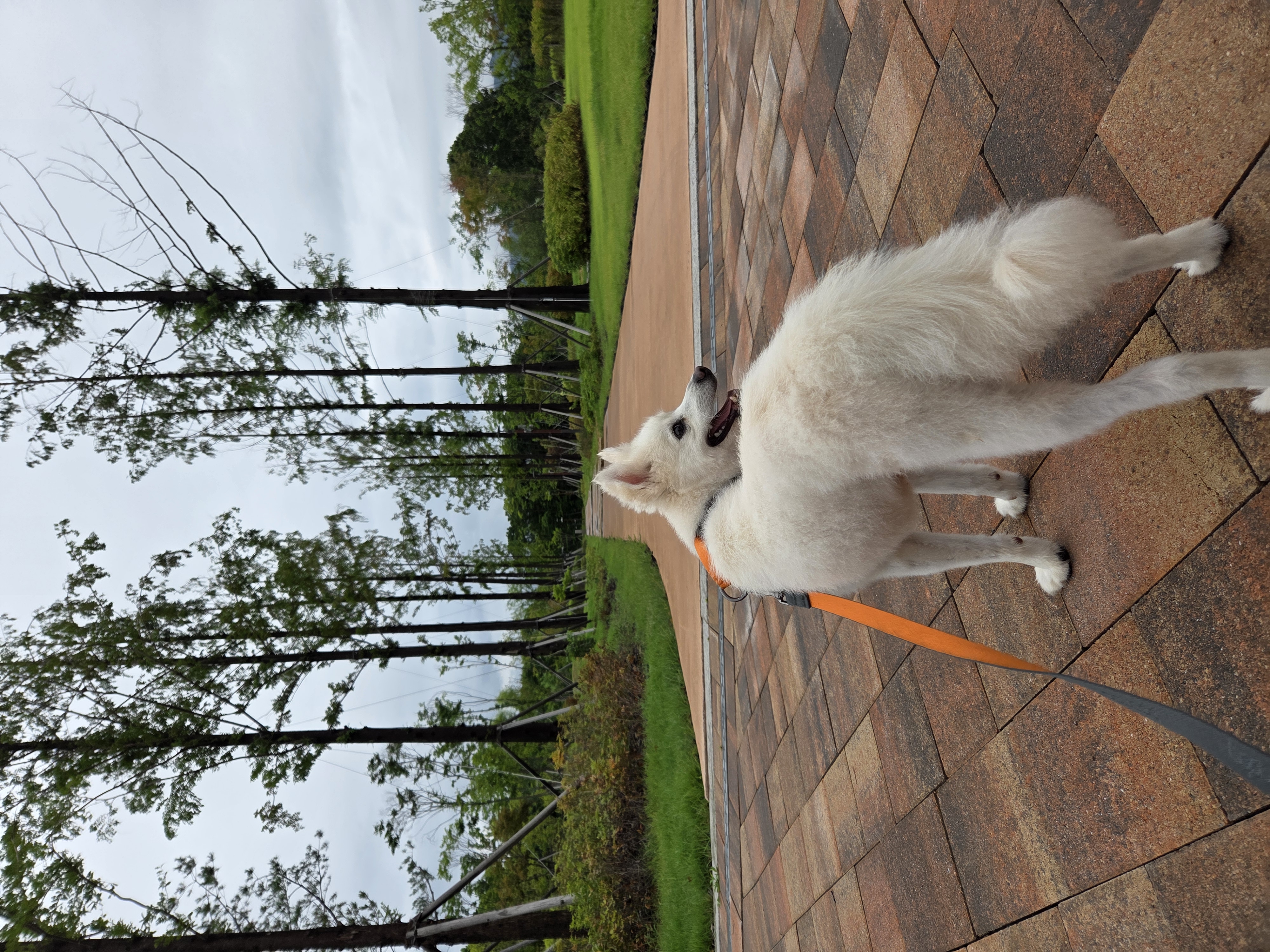 사랑둥이 다람이🐿 한달차 후기🤎