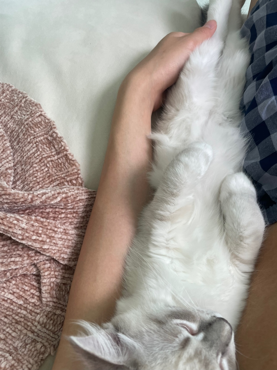 설기의 한달