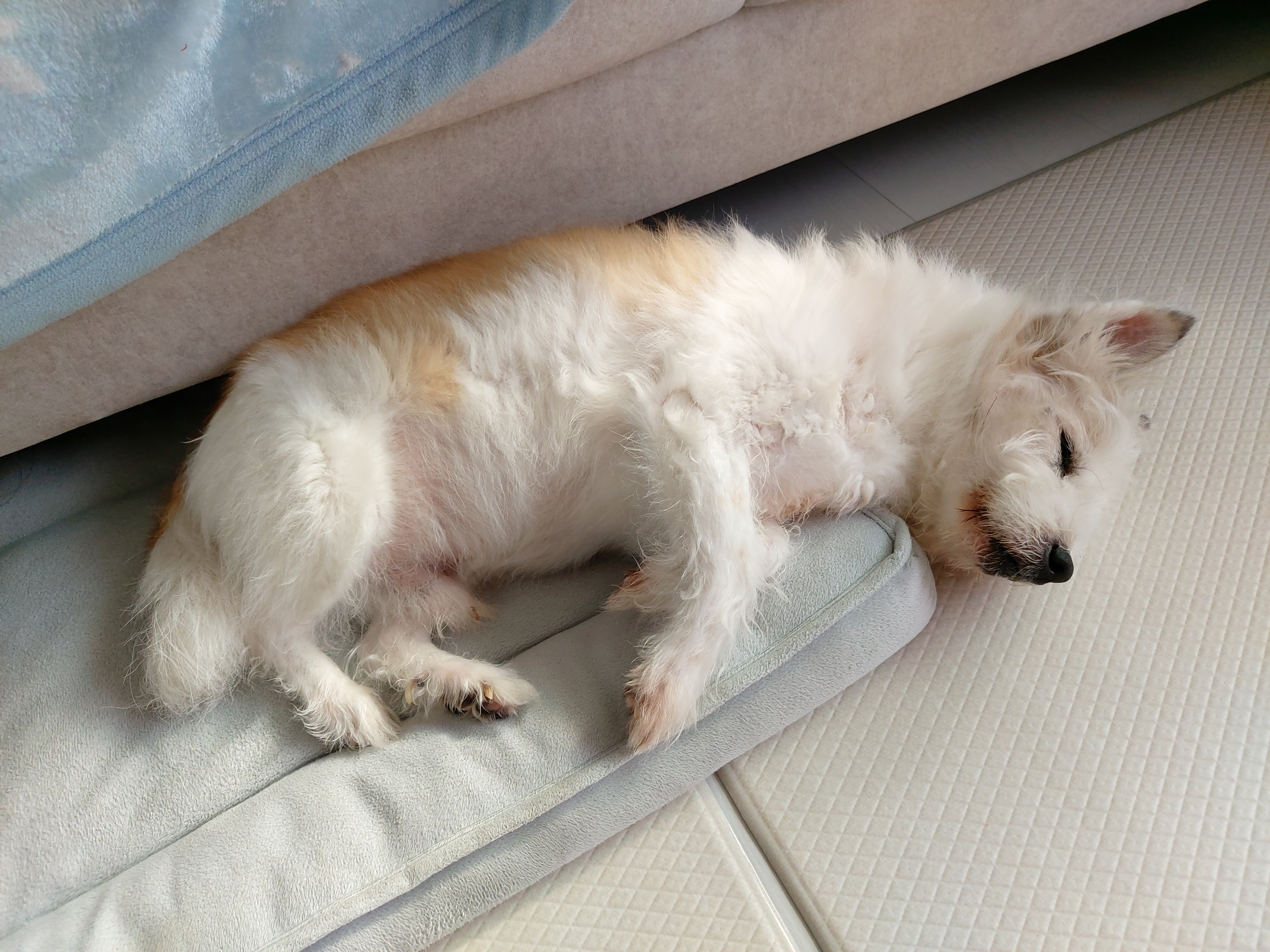 카이를 기억하실까요?