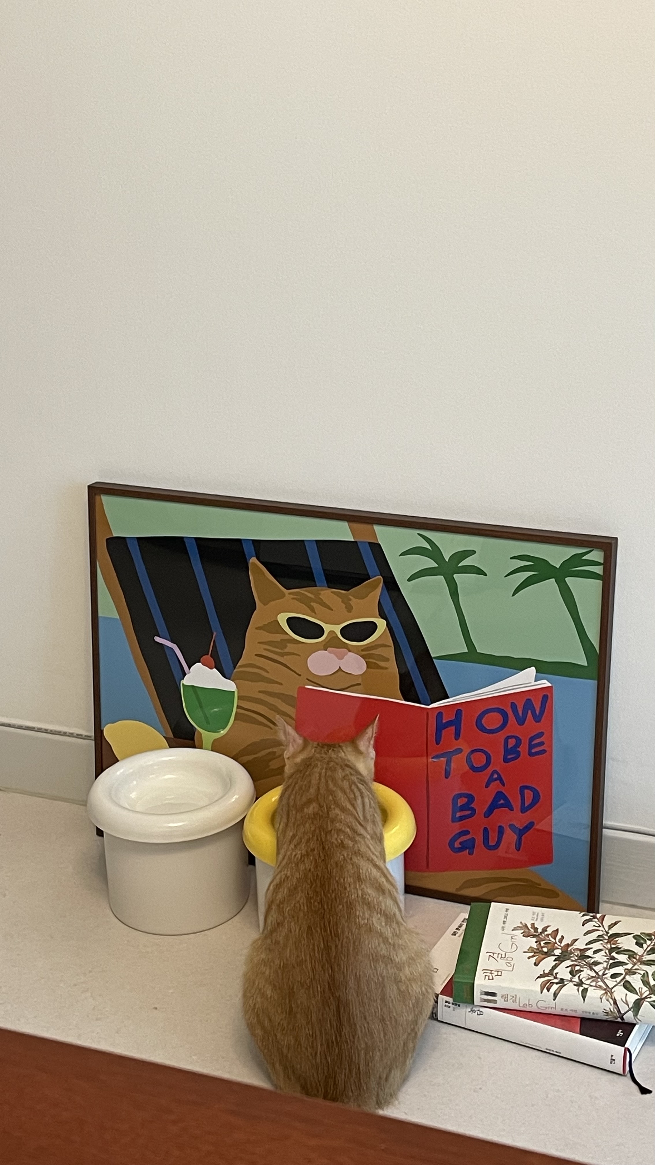 금비(다해) 일주일 후기