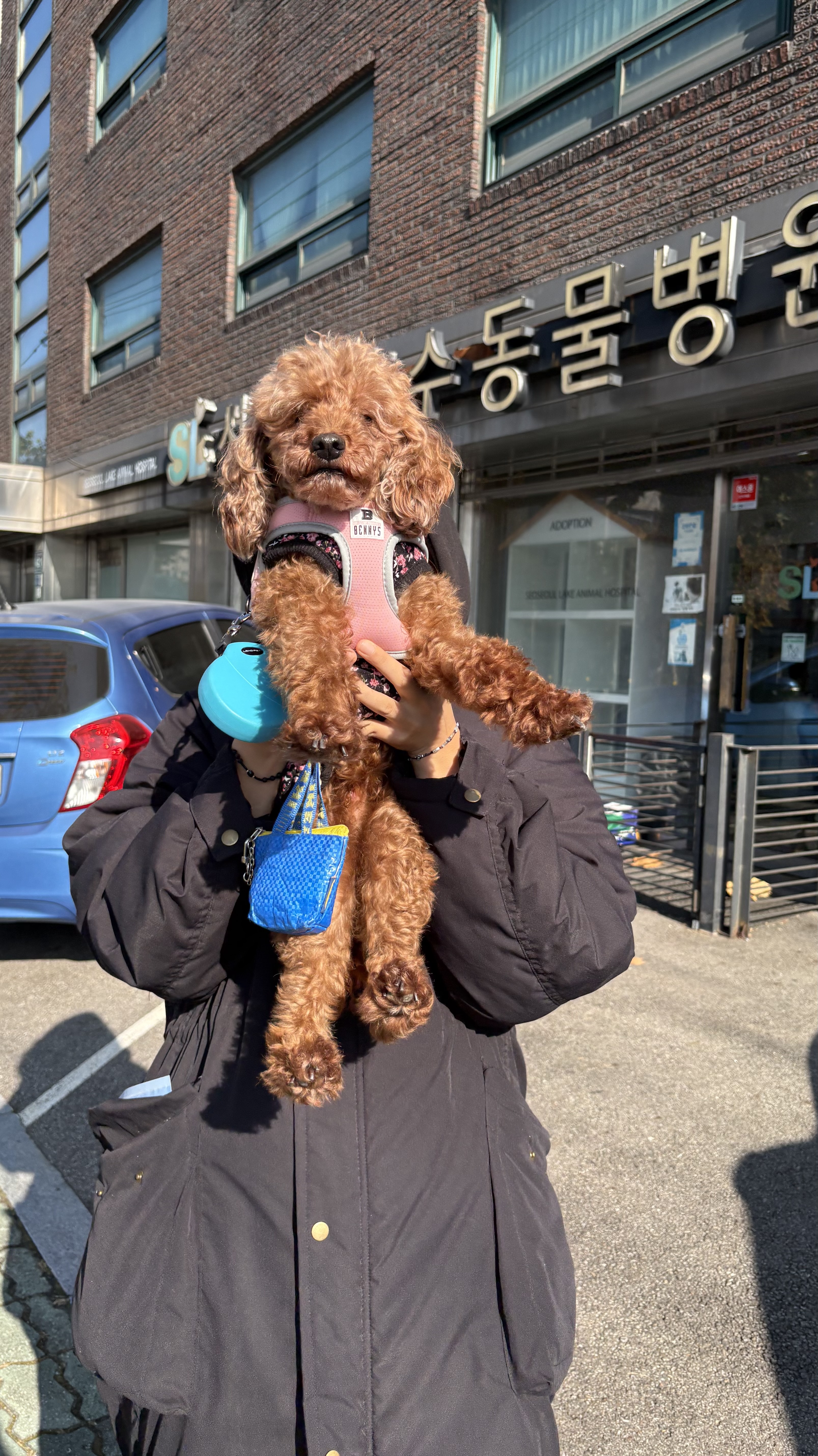 보사의 예방접종 ~ 