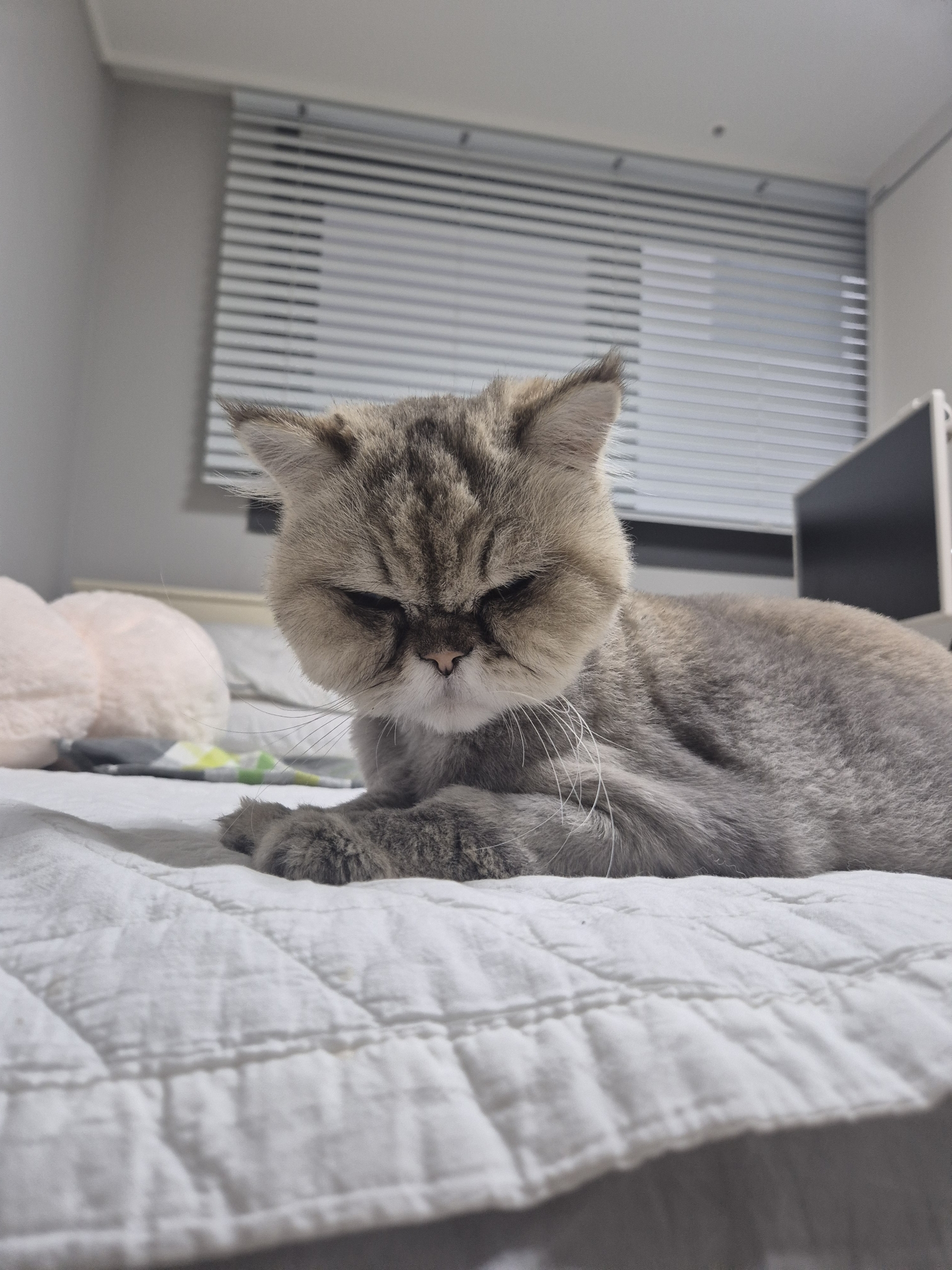 밤장이 온지 일주일 