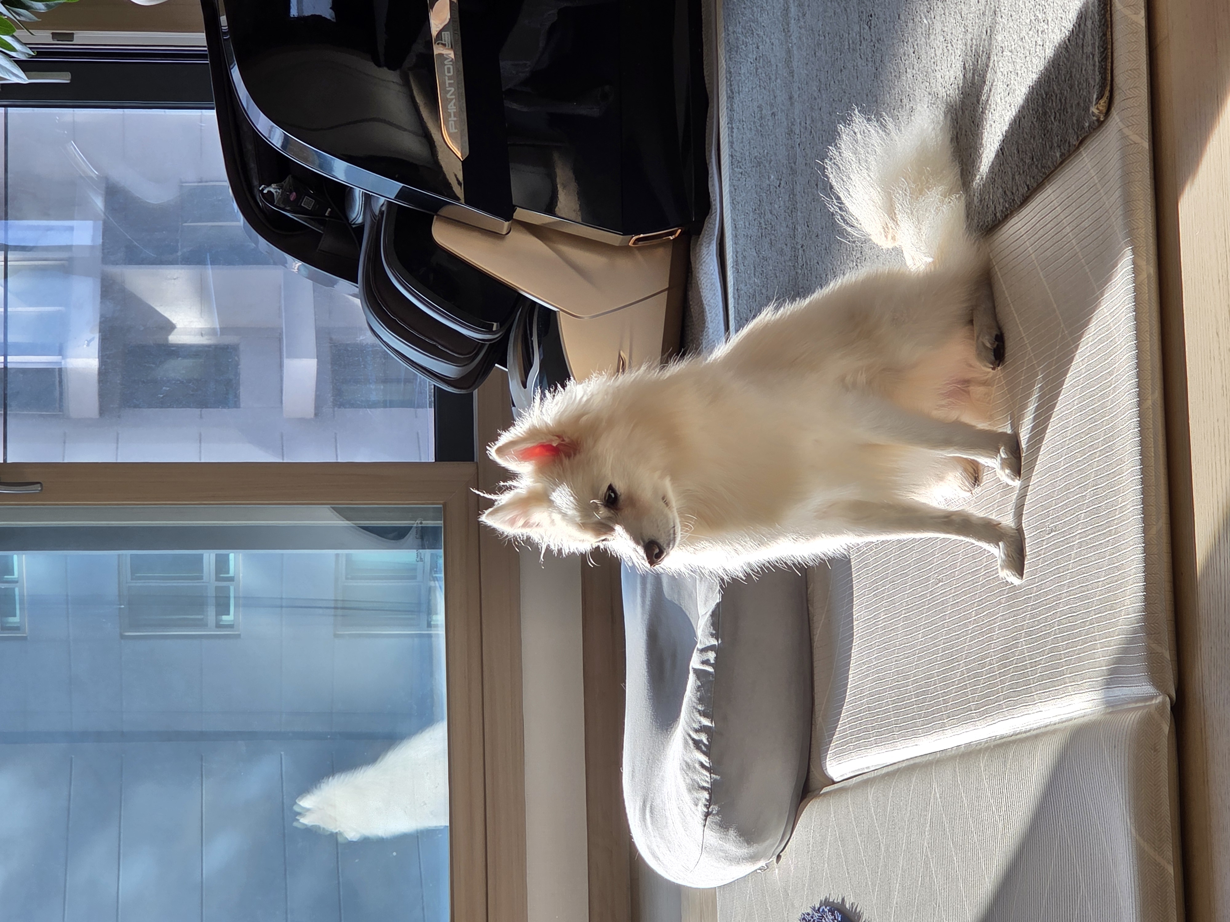 다람이+리유=🤍