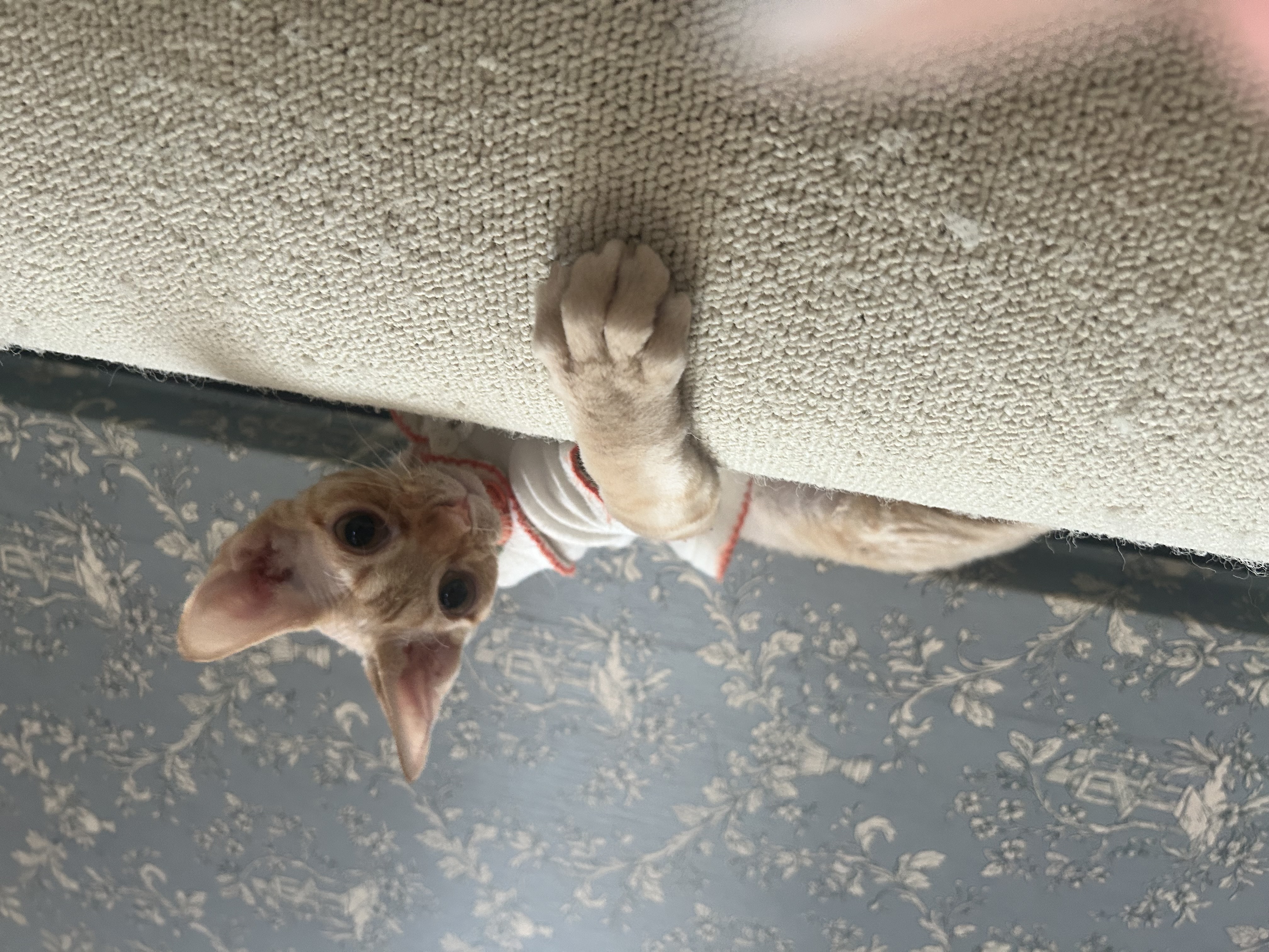 복만이(던노)가 막내가 된지 3개월🤭