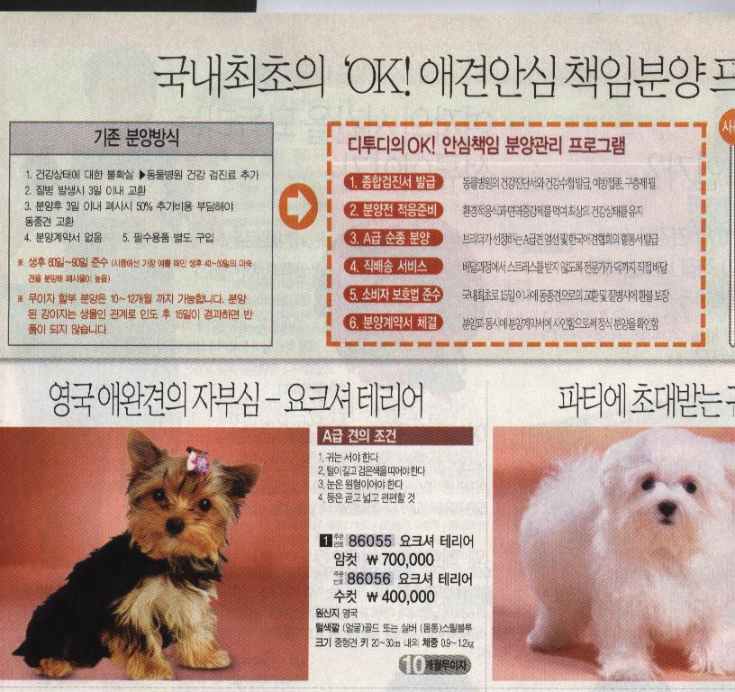 sk디투디 (3)