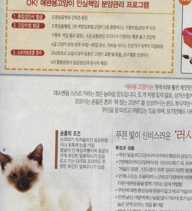 sk디투디(4)