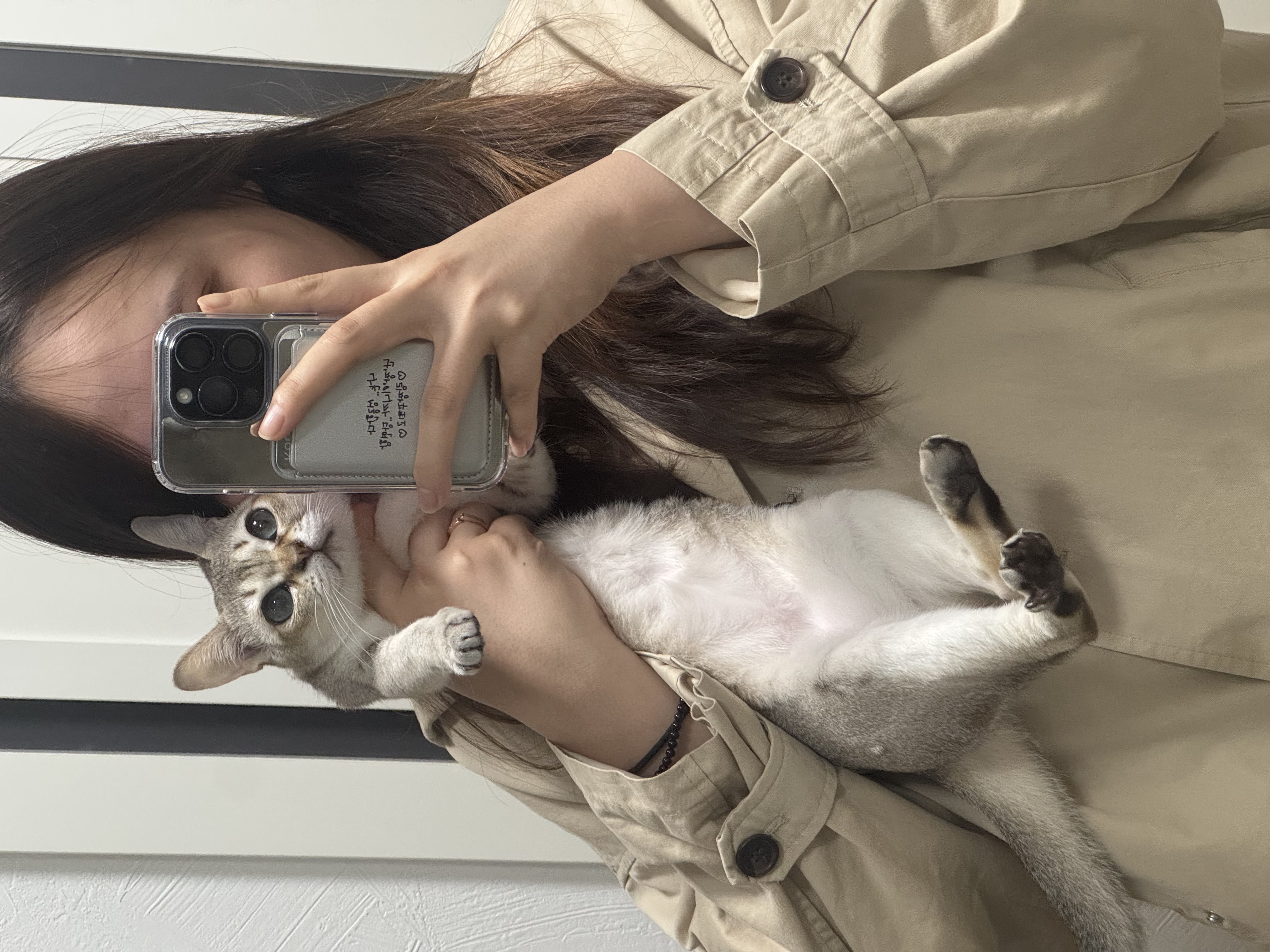 보리(순이) 입양 3개월 차 후기 !