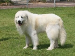 " 상근이,상순이를 찾습니다 !!"