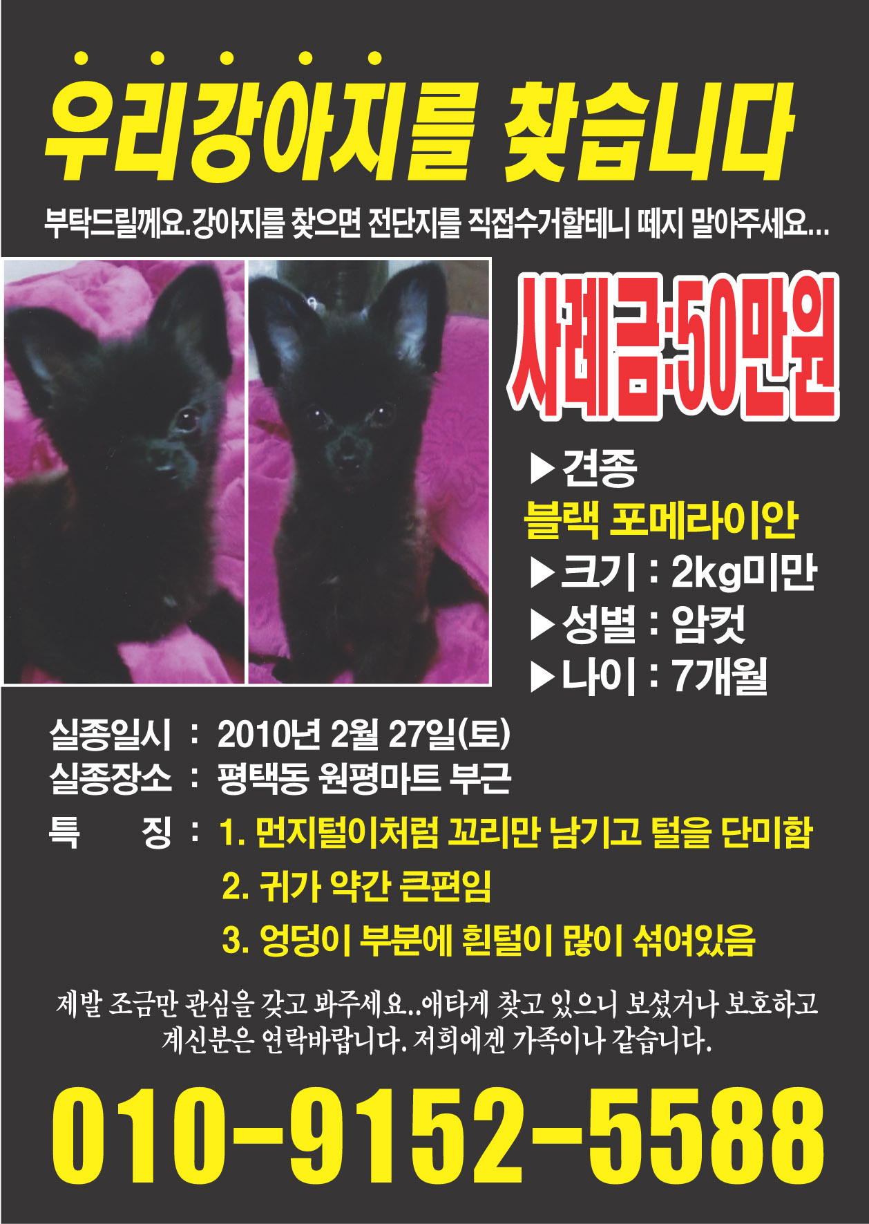 우리 진이를&#52287;아요...눈길 한번만 주세요...