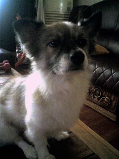 [구로구개봉동] 제발꼭봐주세요!