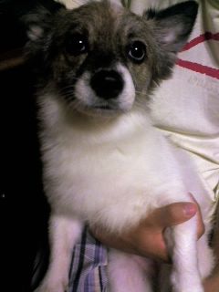 [구로구개봉동] 제발꼭봐주세요!