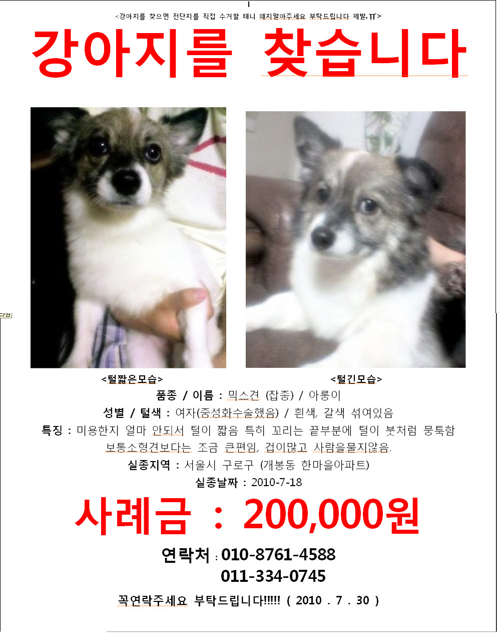 [구로구개봉동]실종13일째입니다...