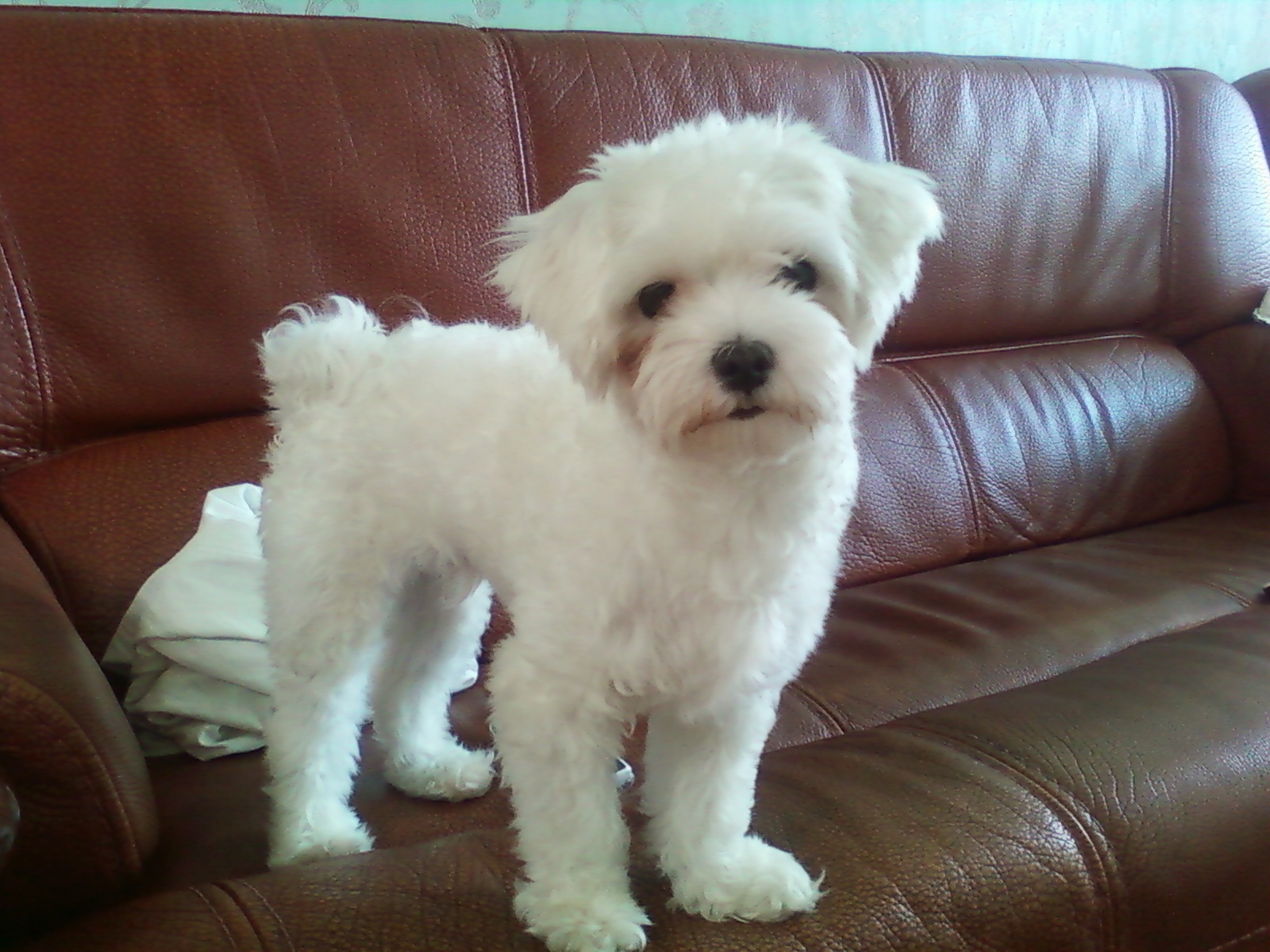 제발,,찾아주세요~! 중랑구 신내동 6단지 아파트....