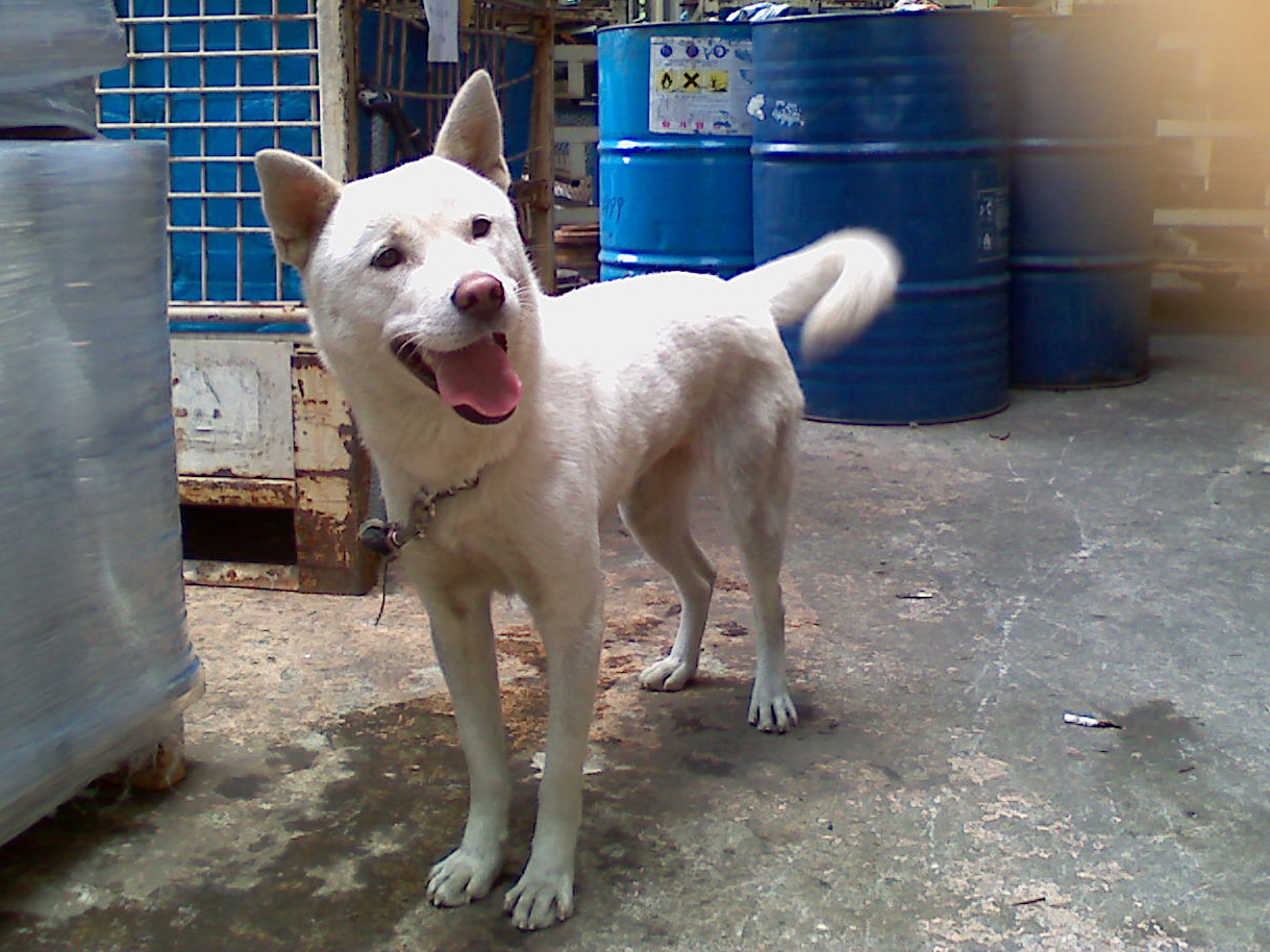 끌려간 성순이 CCTV를  공개합니다