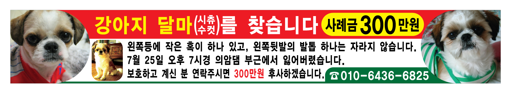 [춘천] 의암댐주변/시츄수컷찾아요/사례금300만원
