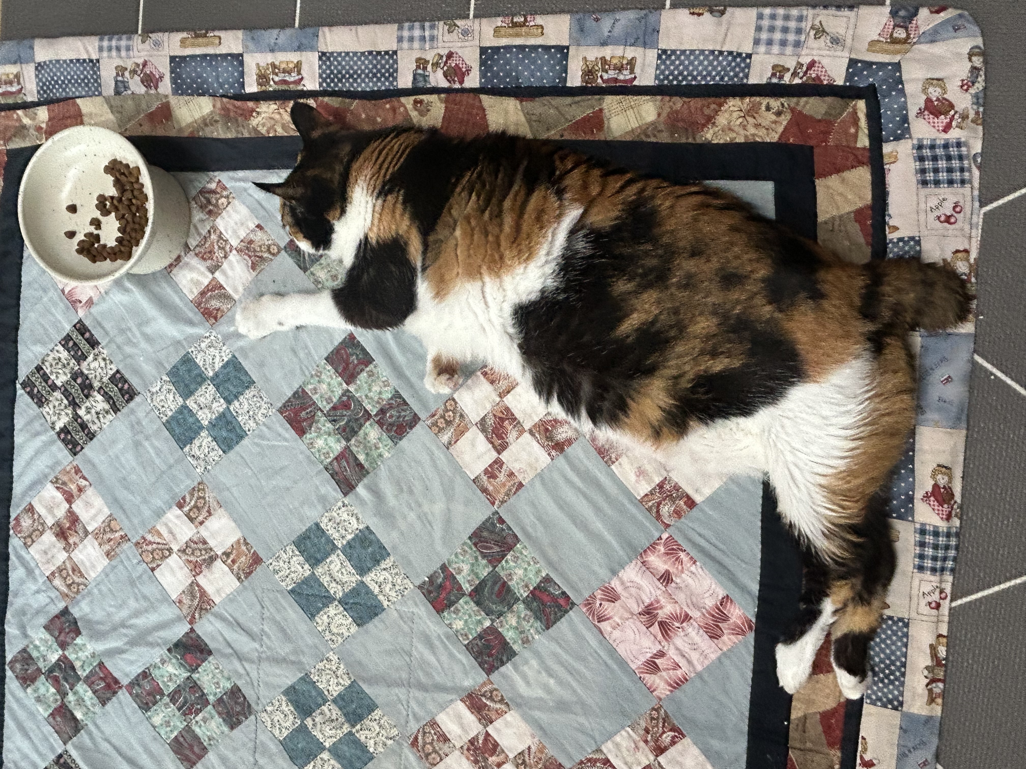 달이(달냥이) 가 벌써 석달째