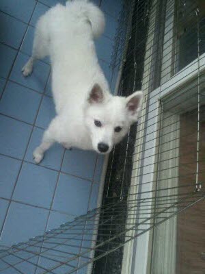 스피치 돌돌이에 가족이되어 주세요