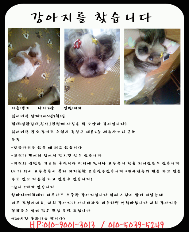 강아지를 찾습니다 거의 두달째 됩니다,ㅜㅜ