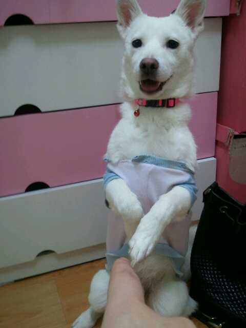 송파구 문정동 부근 제발봐주세요..