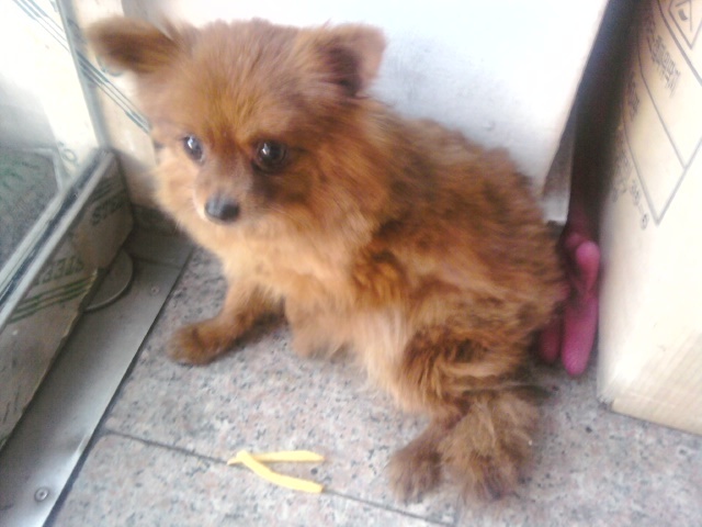 얘 좀 봐주세여..