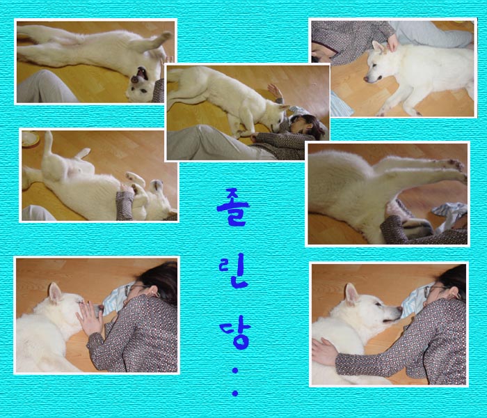 푸우2