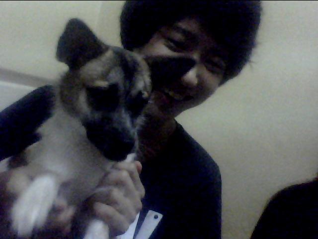 경기도 남양주시 지금동 보아주택 주변에서 발바리 잡종 강아지를 분실